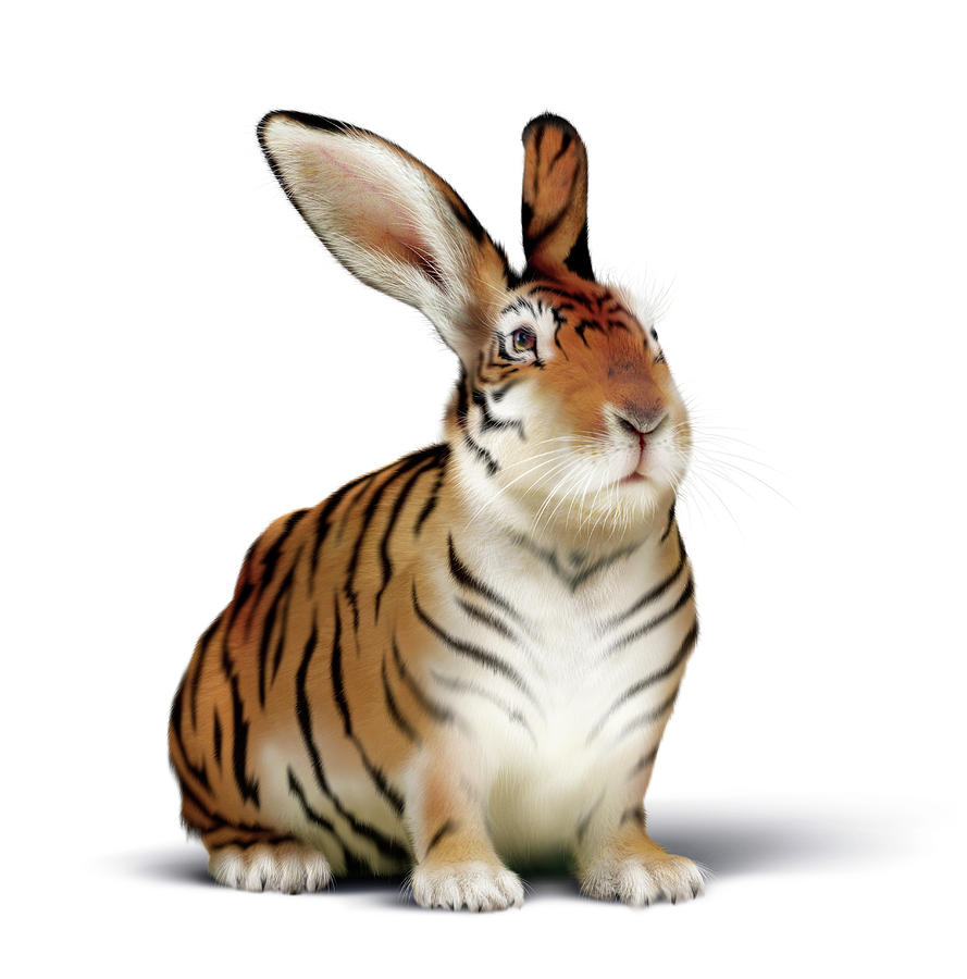 user avatar image for David N Tanner