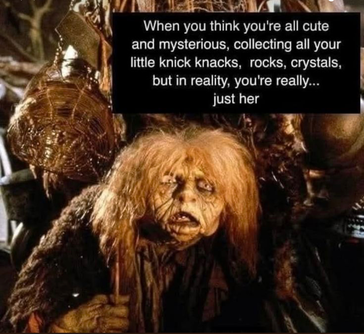 user avatar image for Angiebelle