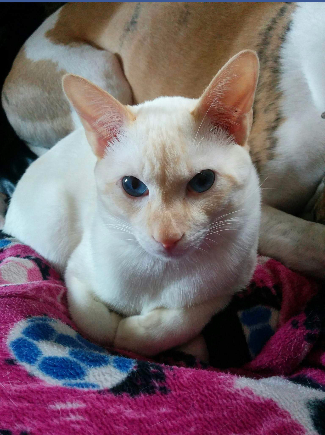 user avatar image for Gryphan Rose