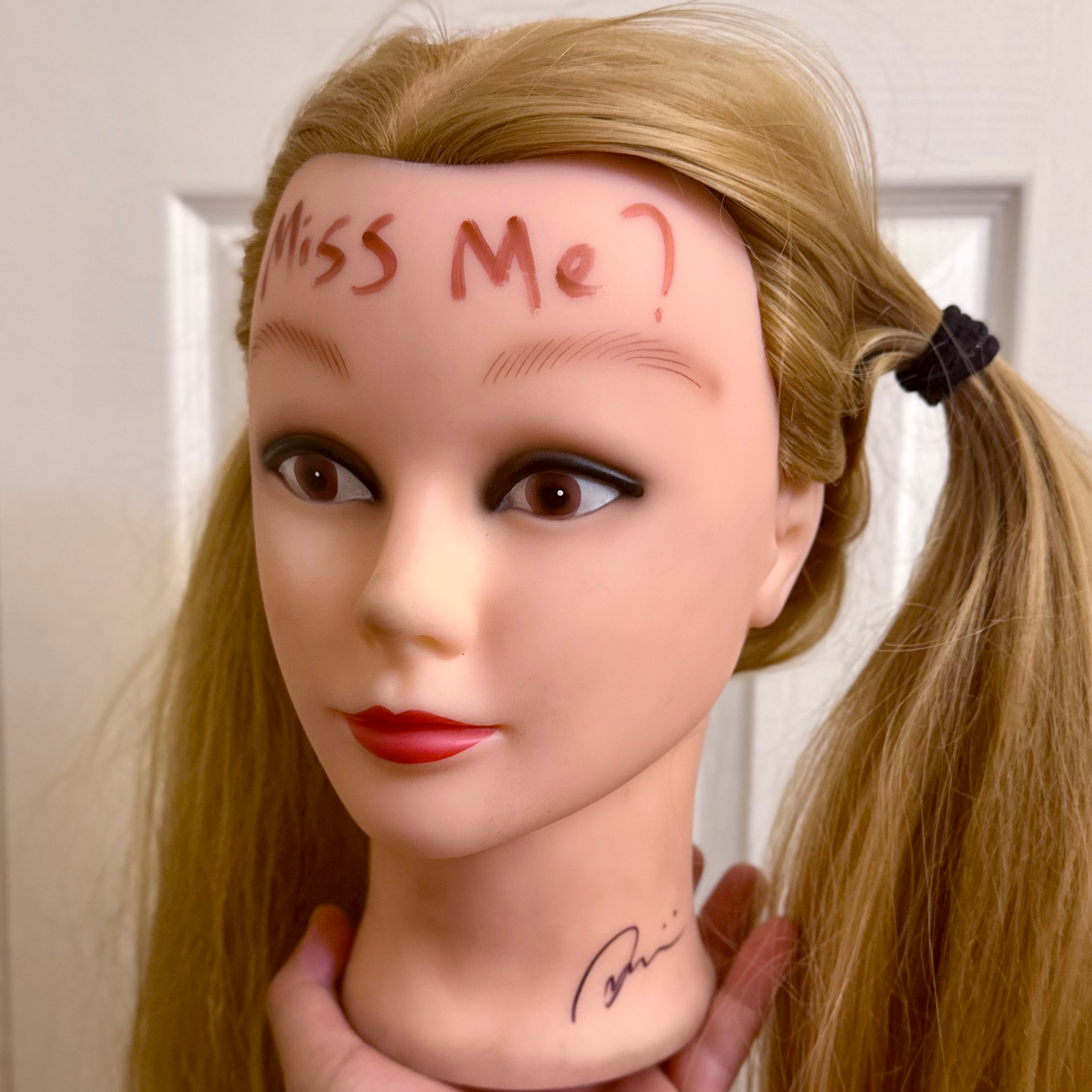 user avatar image for AustinT 