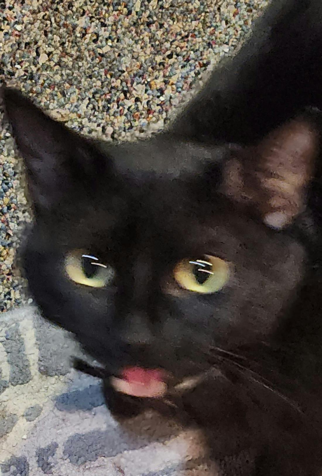 user avatar image for Damian Alexander Frazier