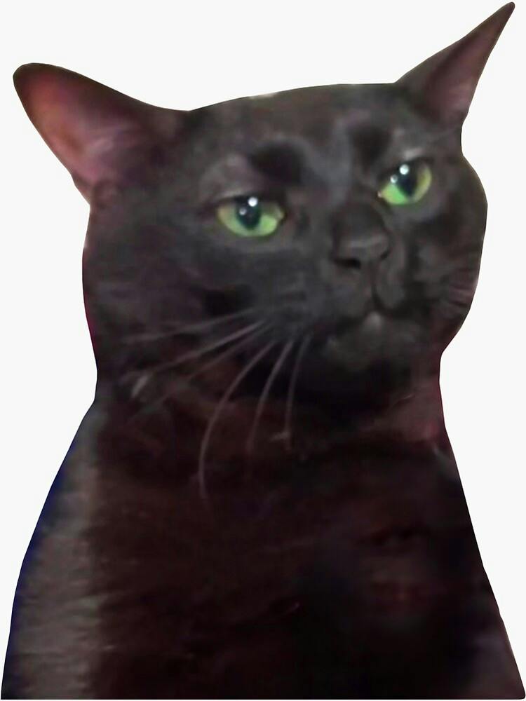 user avatar image for Vinchenzo