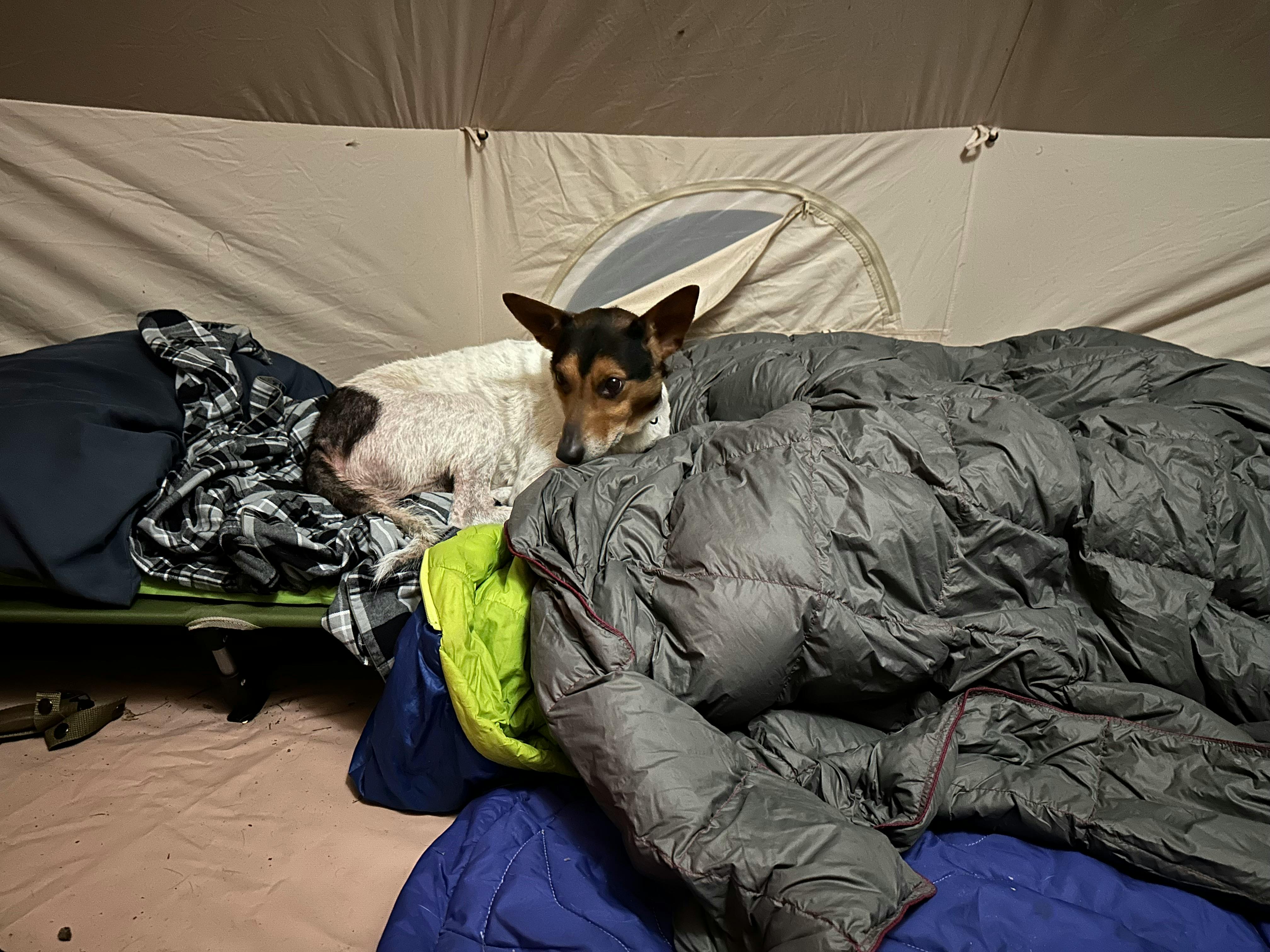 user avatar image for Dan Russell