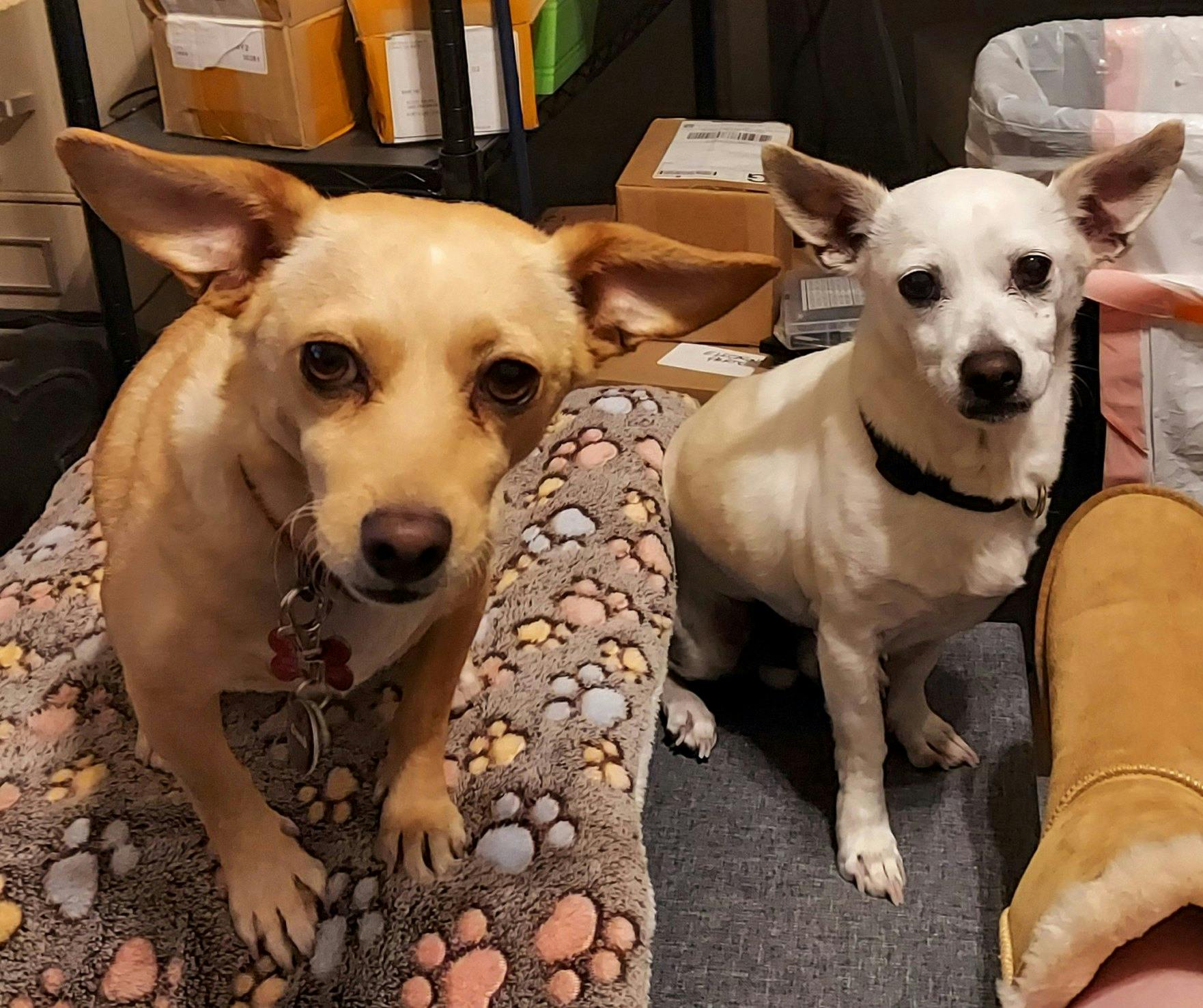 user avatar image for hollyberryholly24