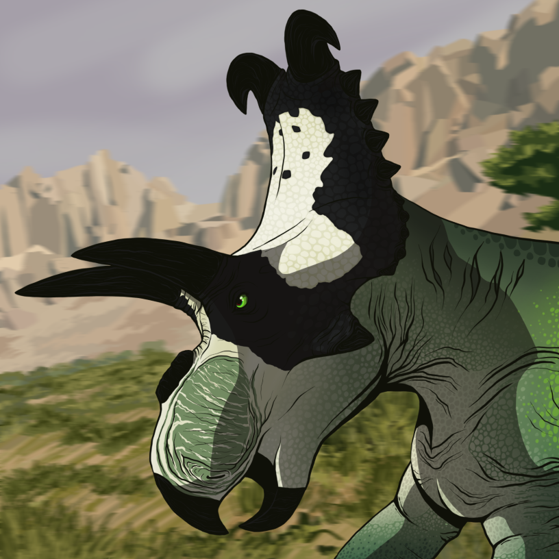 user avatar image for Karma