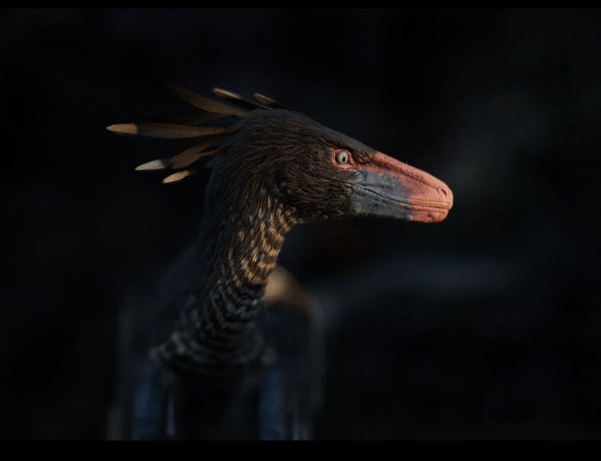 user avatar image for Blue