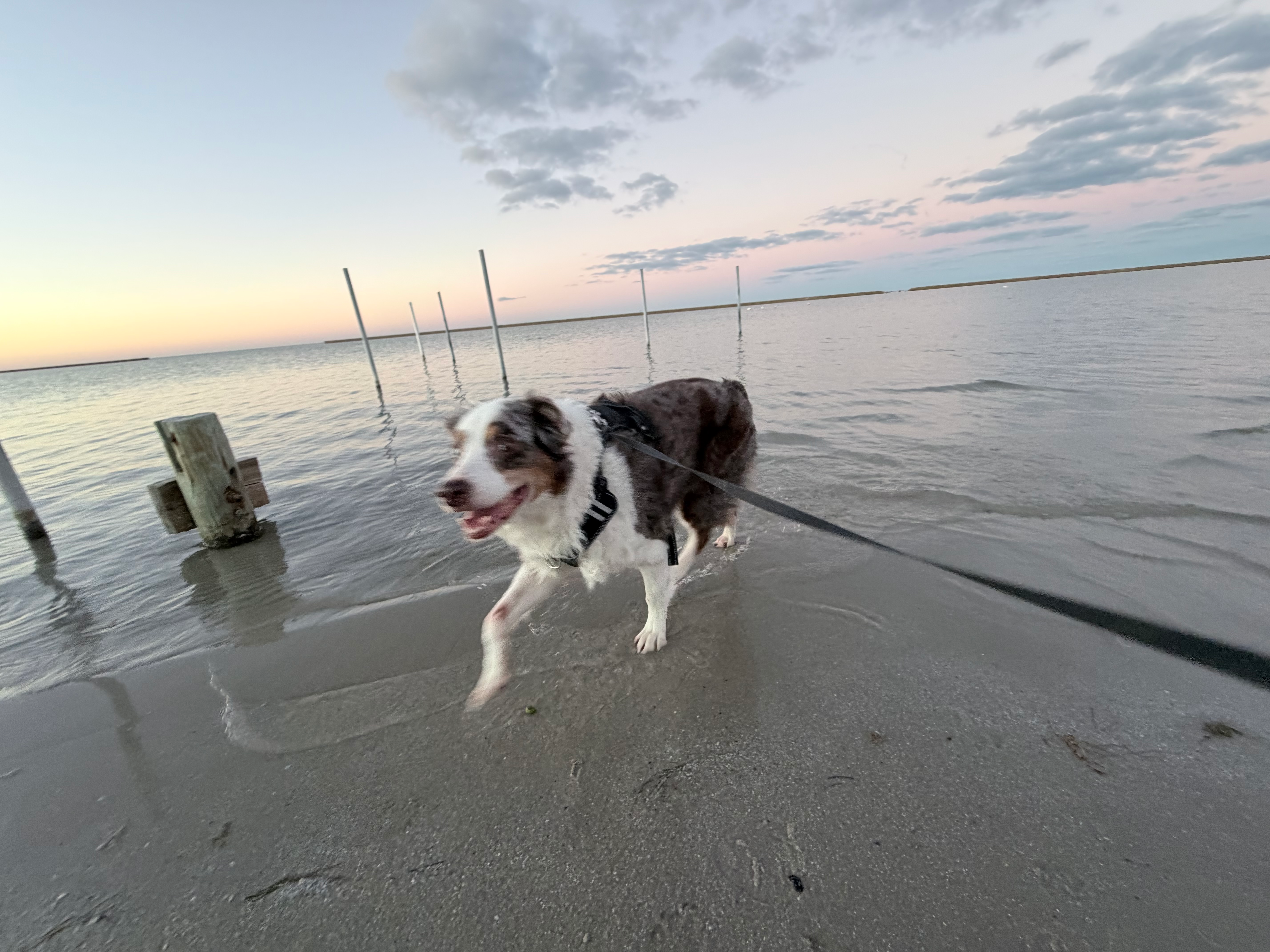 user avatar image for Brandon Pullig