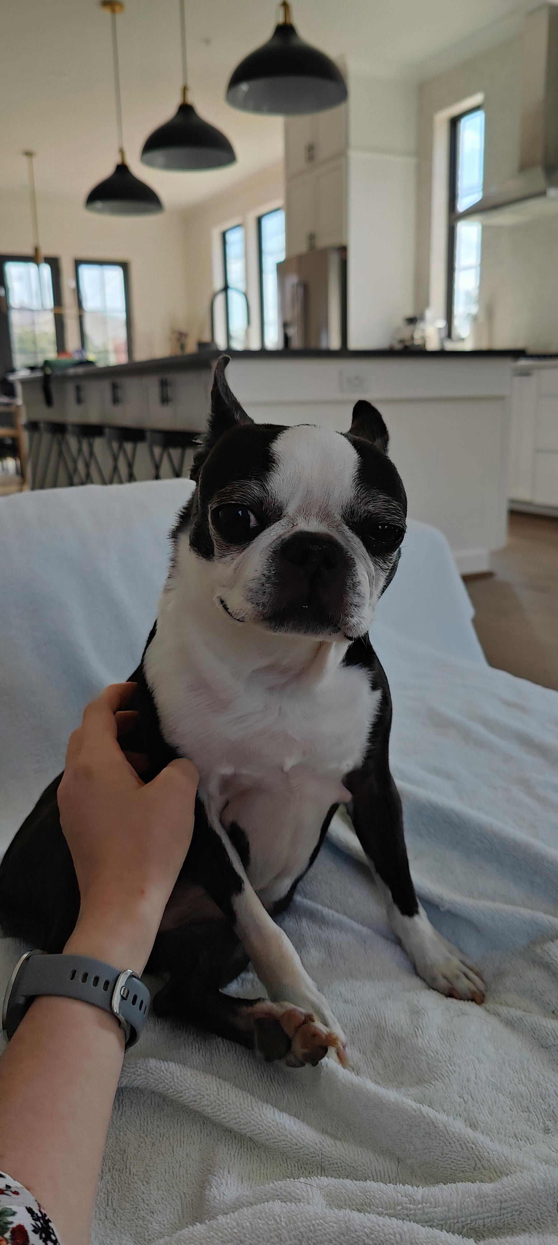 user avatar image for Ninjakat