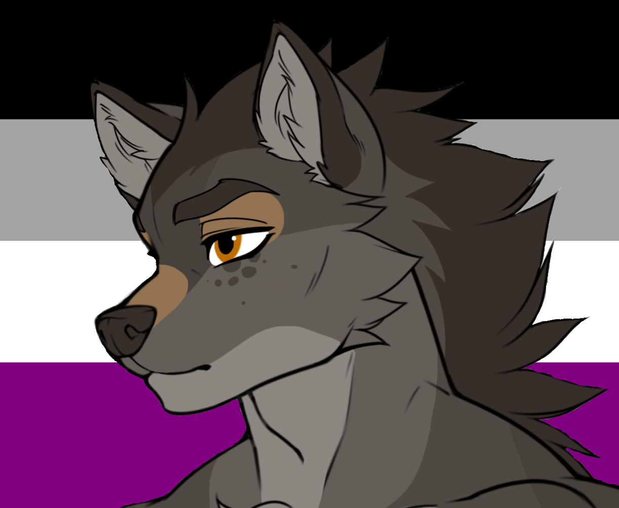 user avatar image for Endre