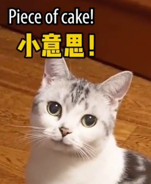 user avatar image for Wren