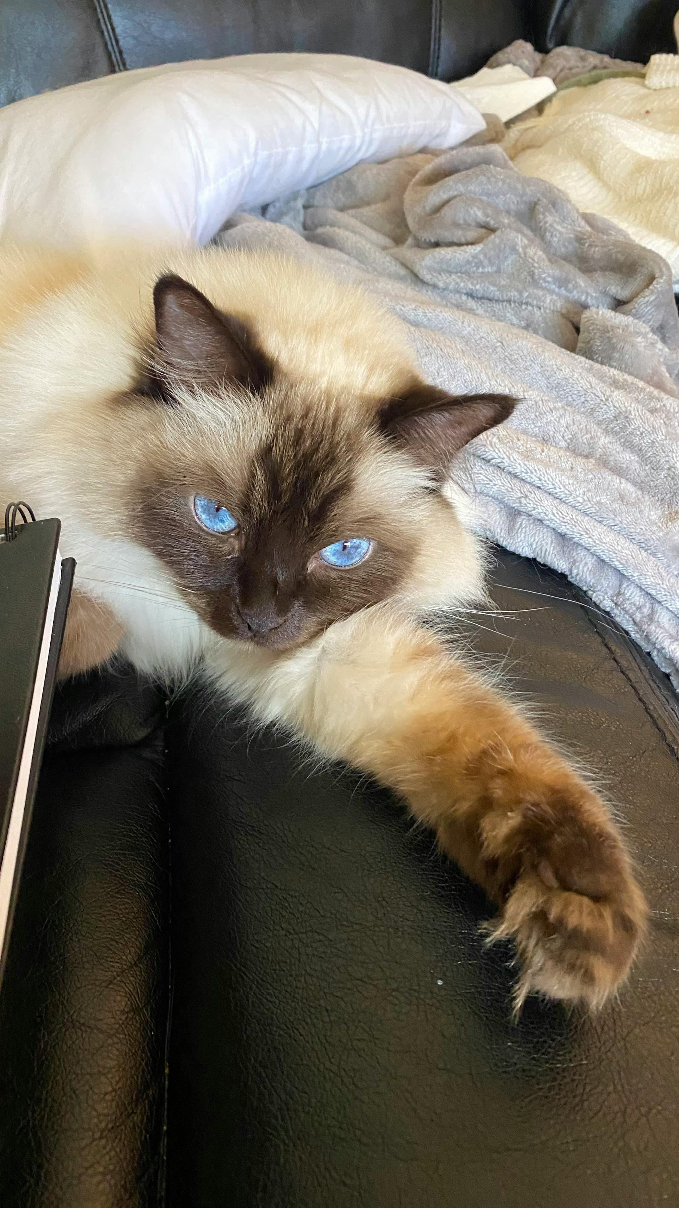 user avatar image for Kayleigh