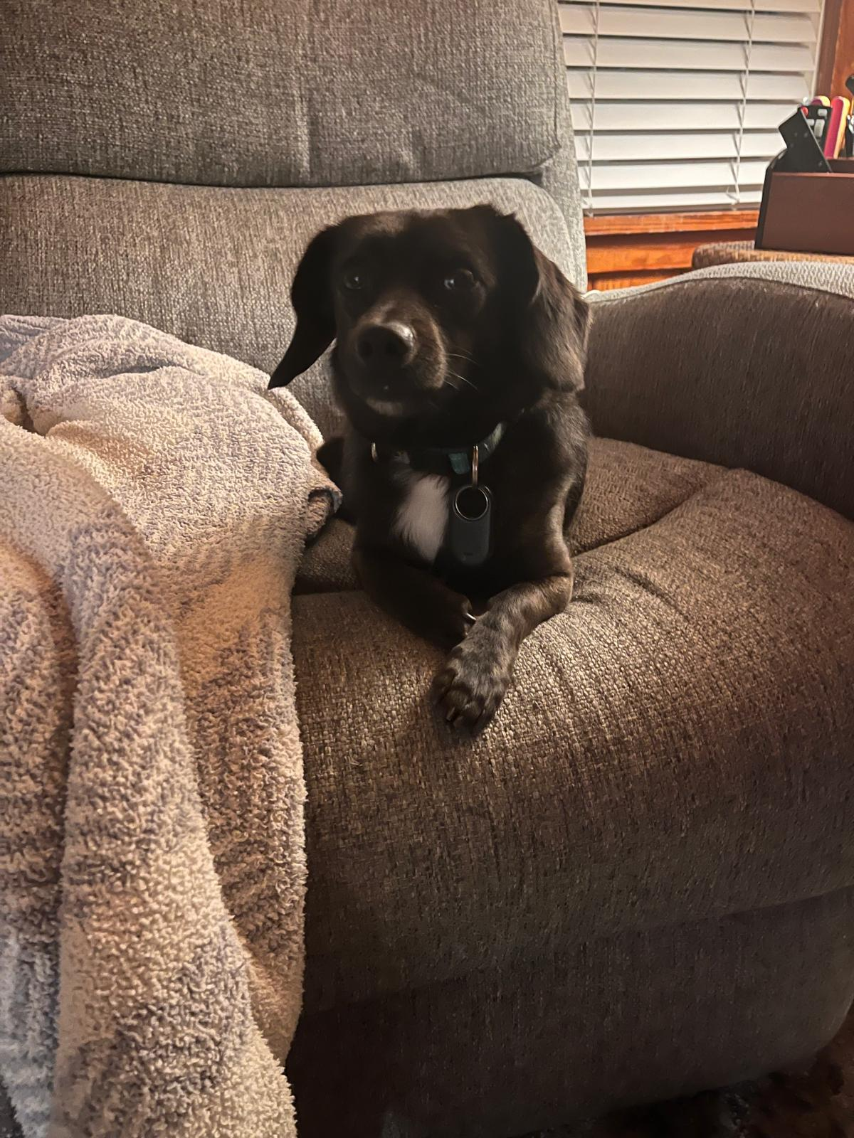 user avatar image for Connor