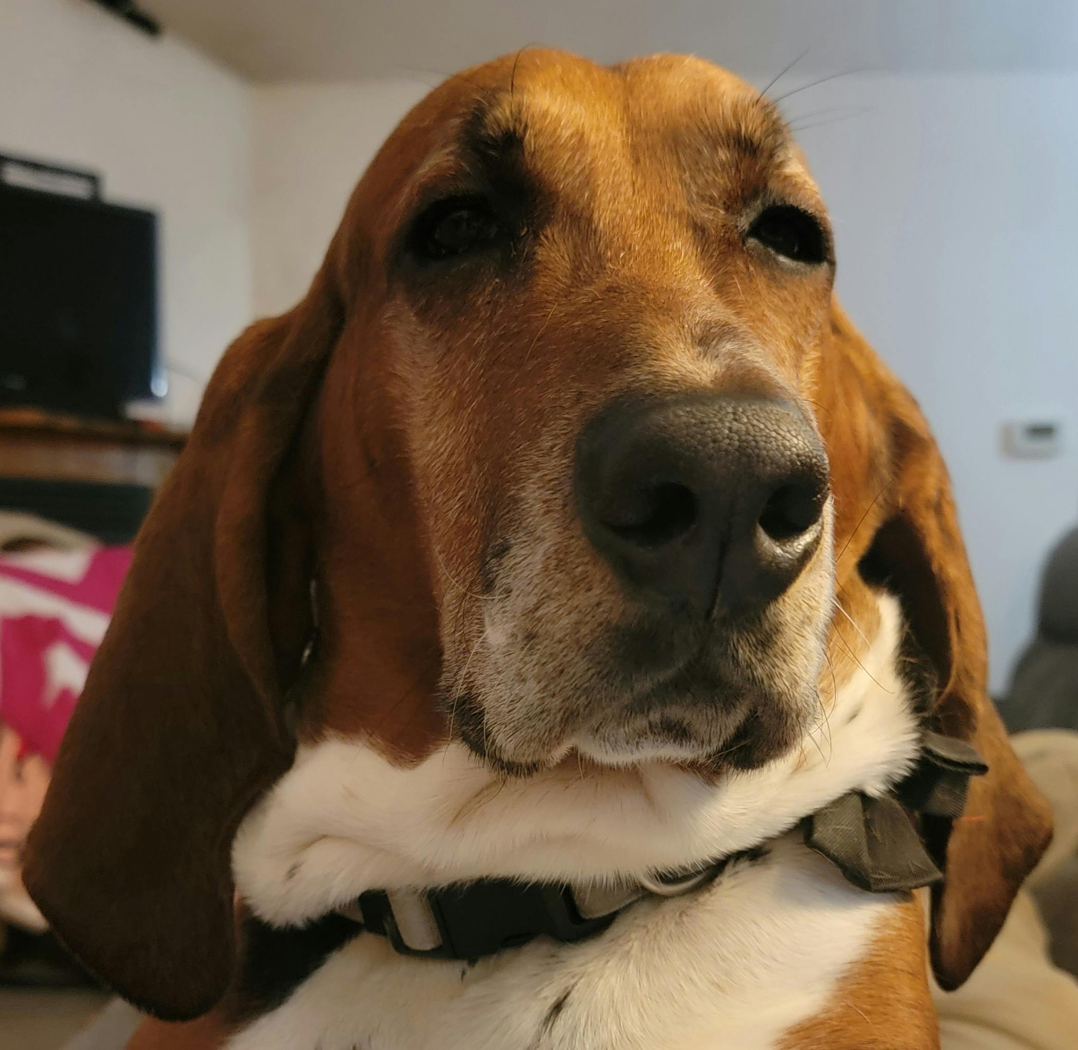 user avatar image for Yojimbo529