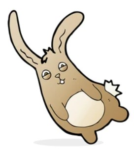 user avatar image for Fabio