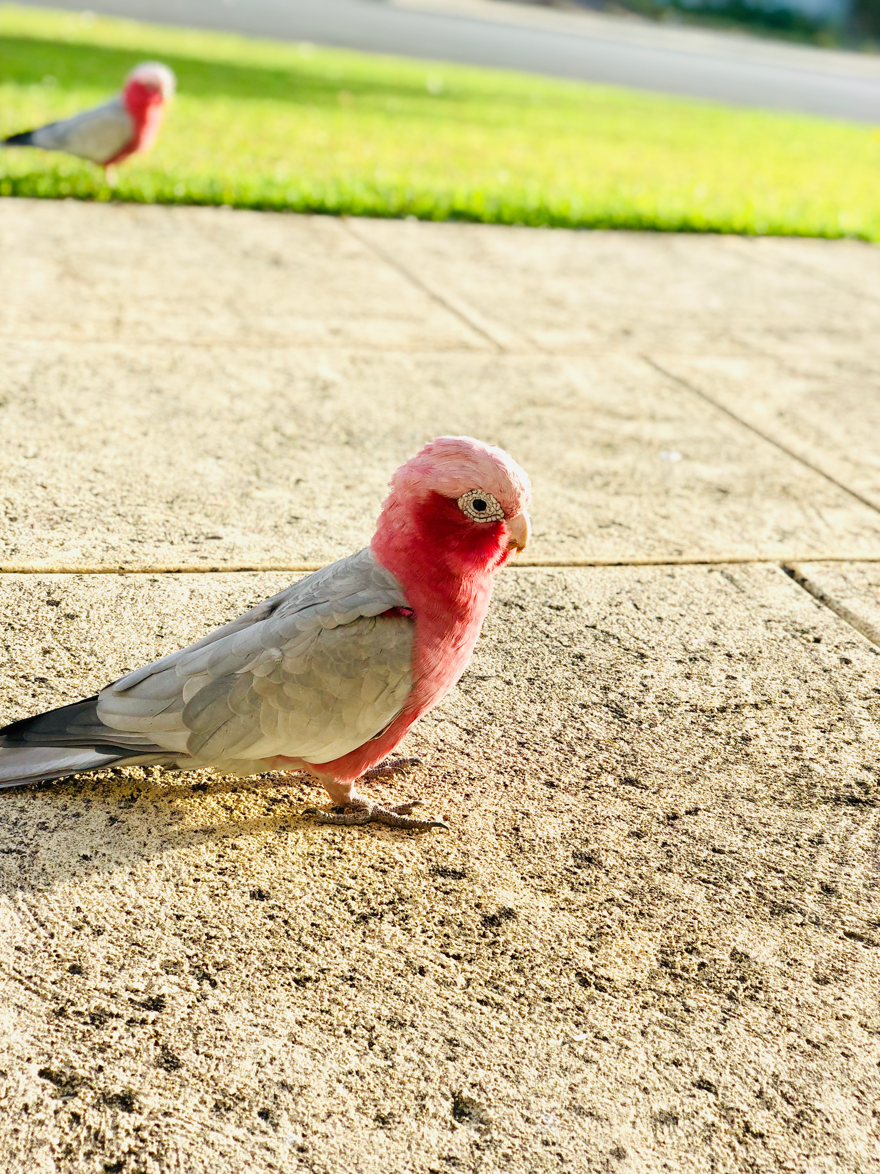 user avatar image for Justin