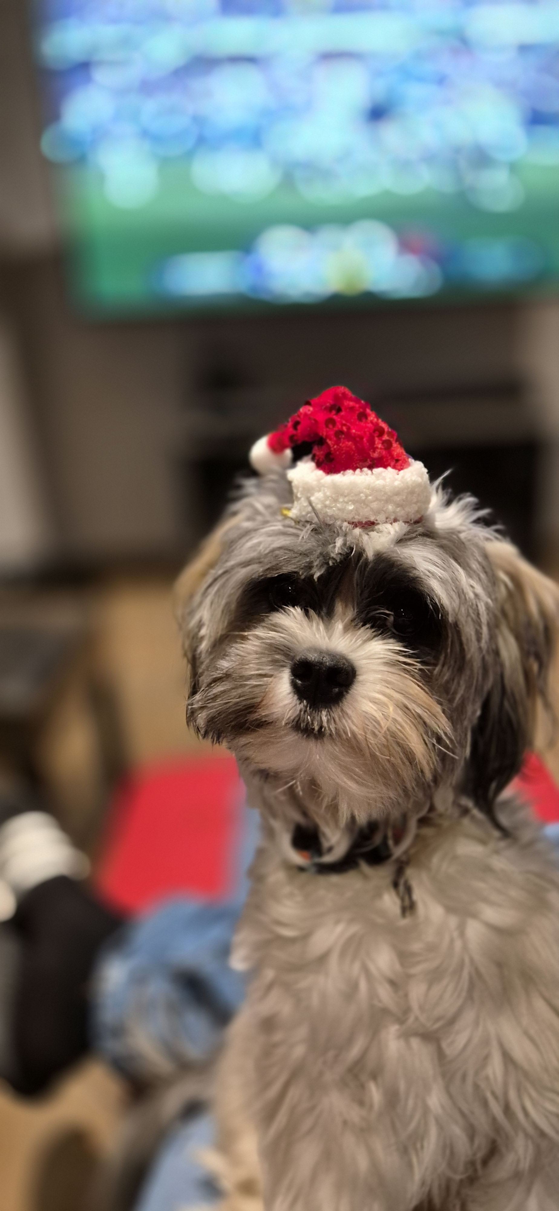 user avatar image for Erysch