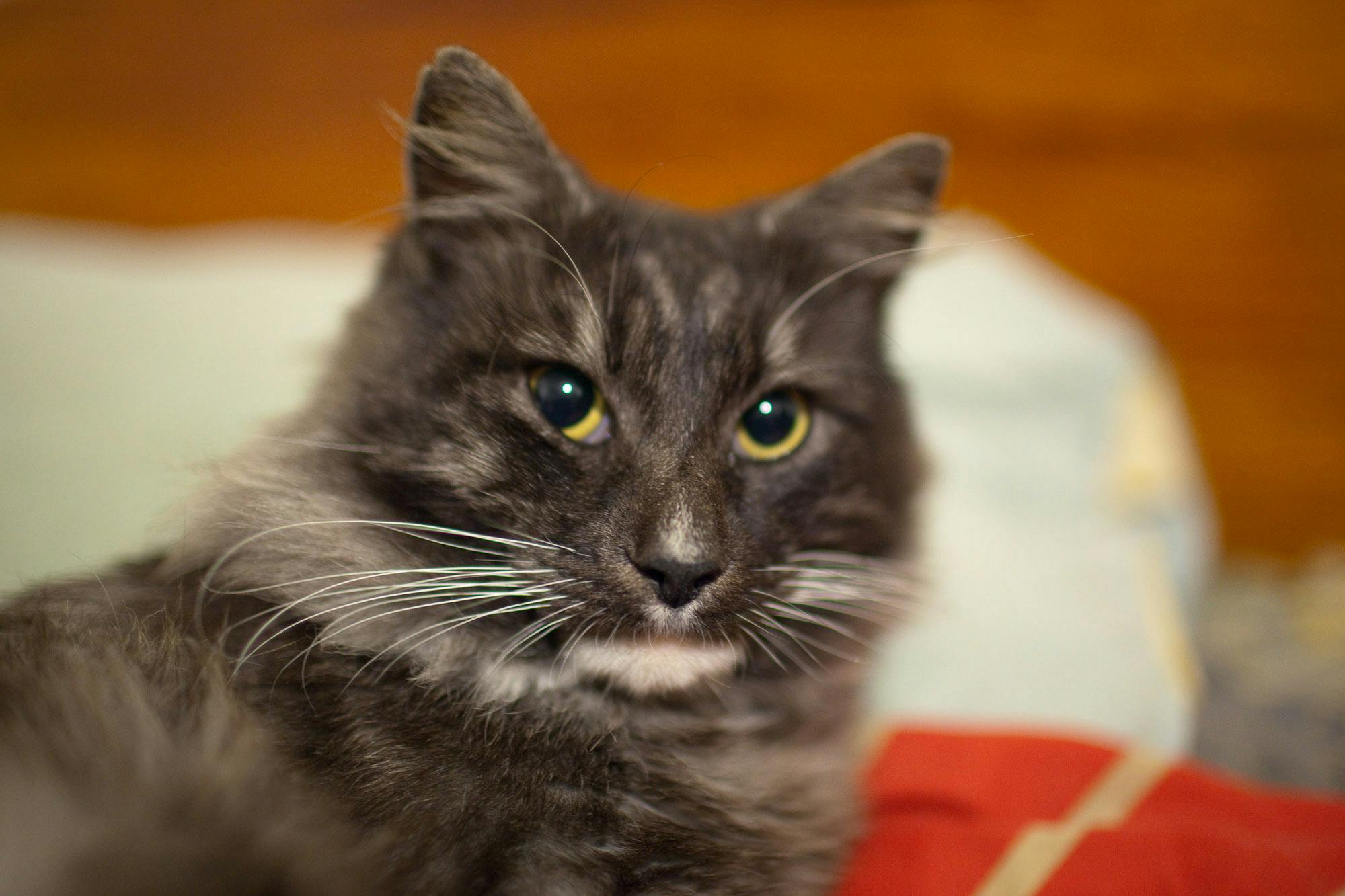 user avatar image for Dun