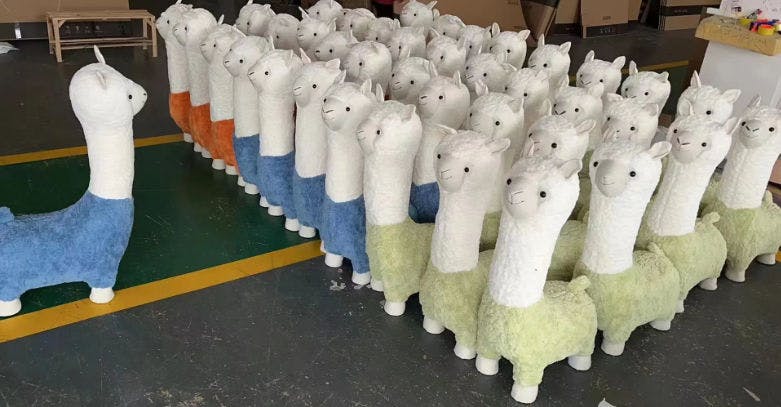 user avatar image for Robert Shankly