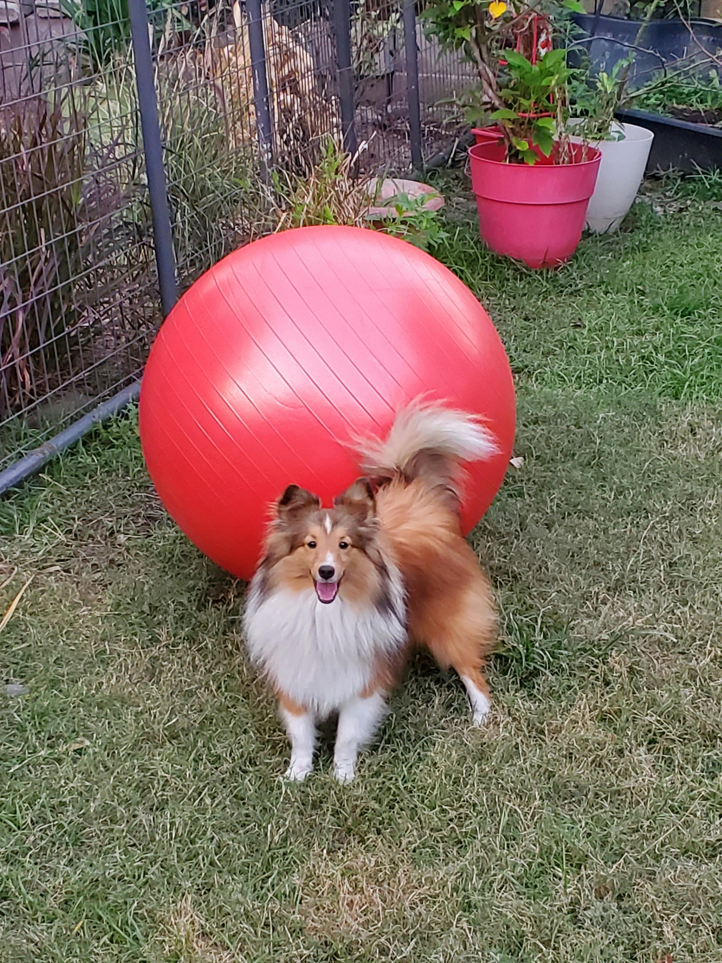 user avatar image for LaLainya