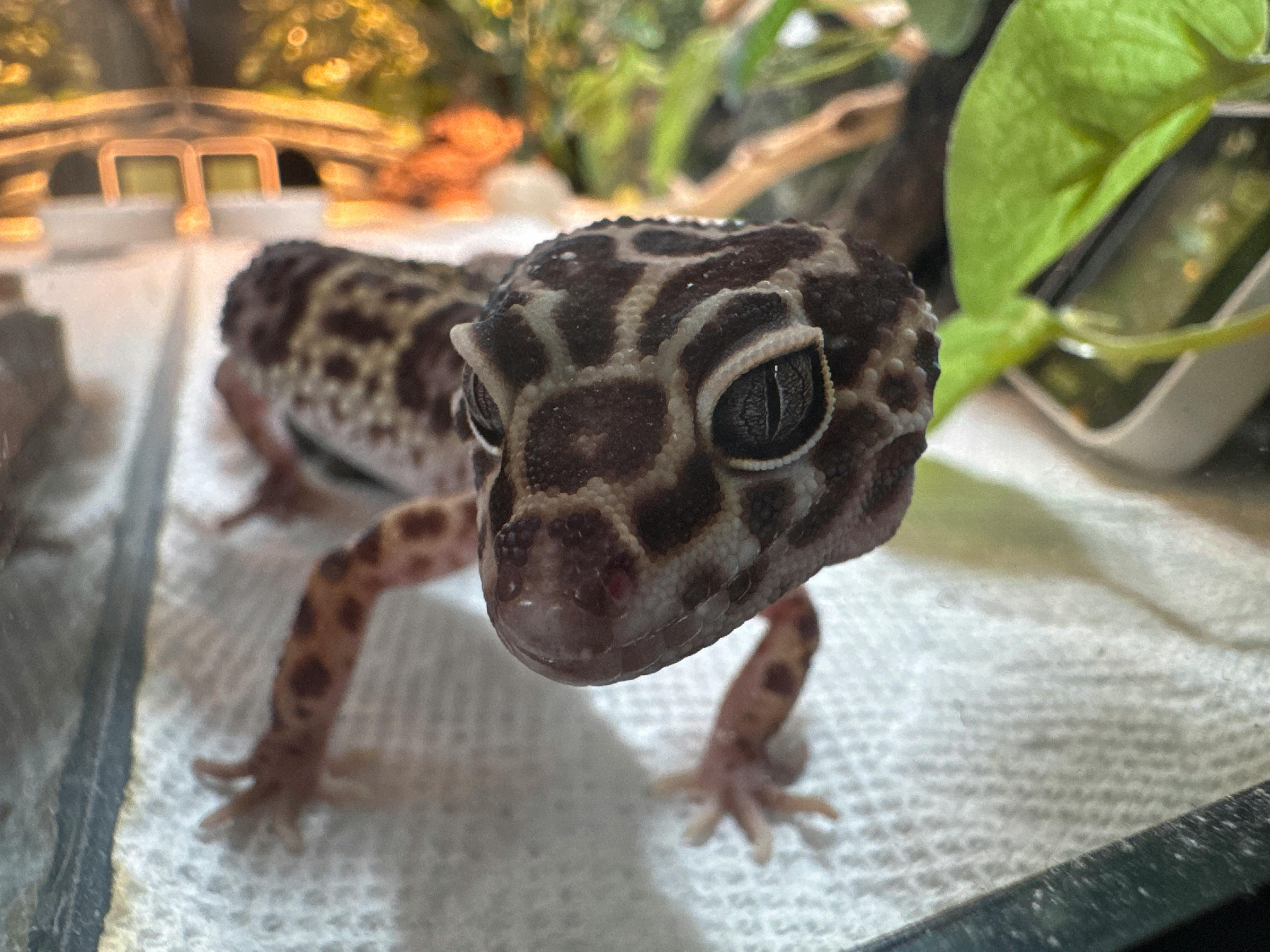 user avatar image for Aine McCready