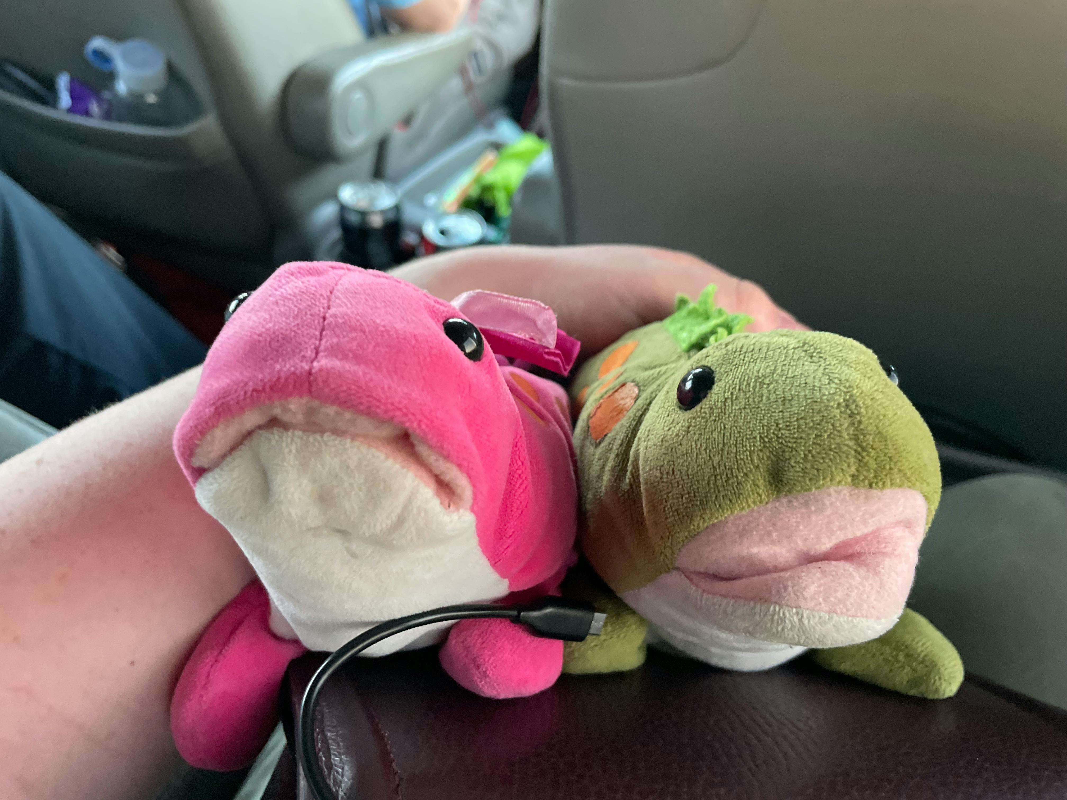 user avatar image for Broc4eva