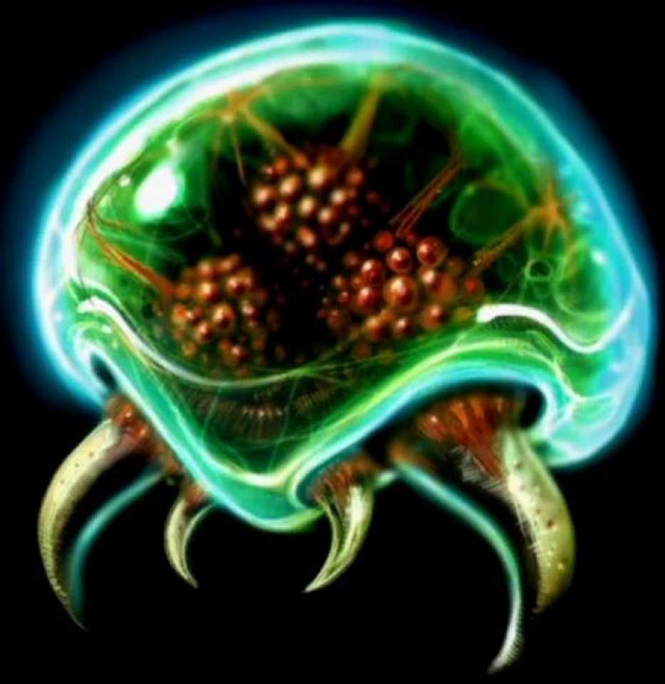 user avatar image for MonsterMetroid