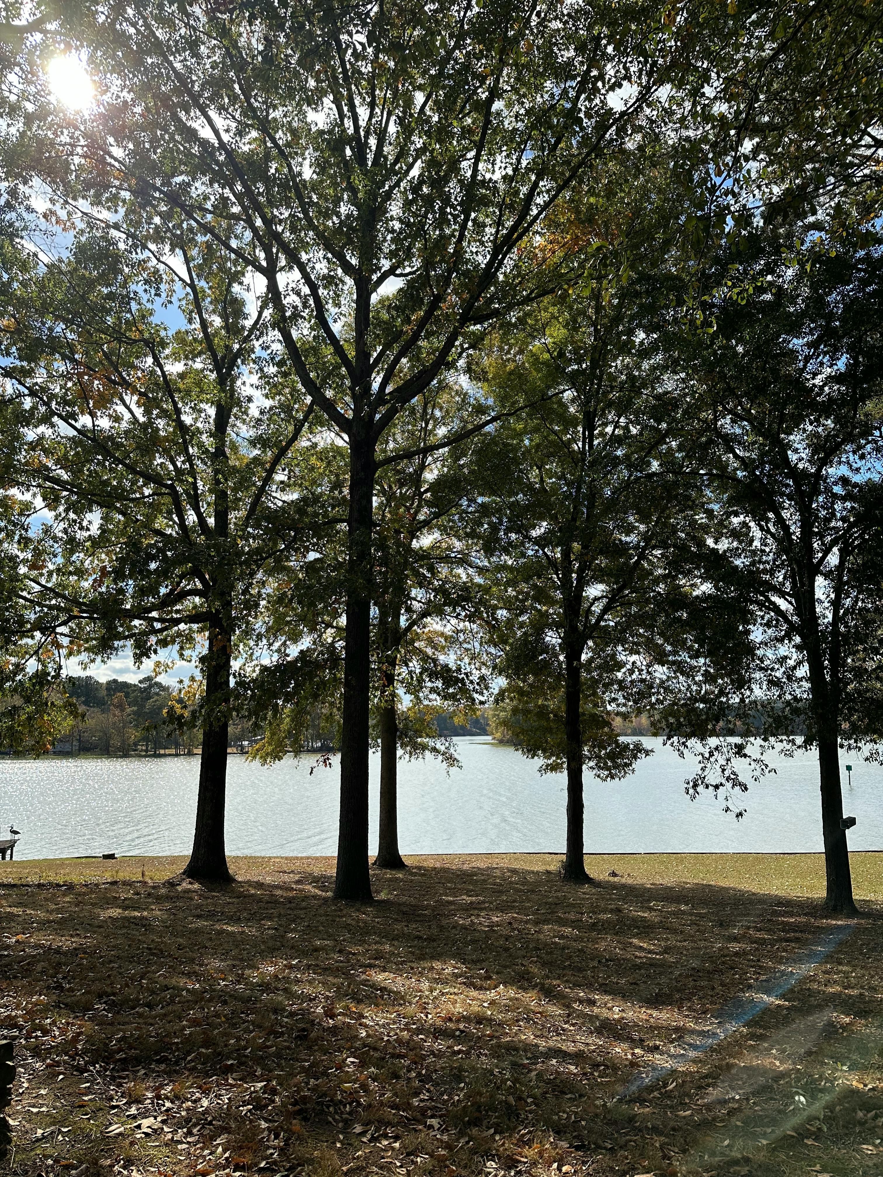 user avatar image for Sean R