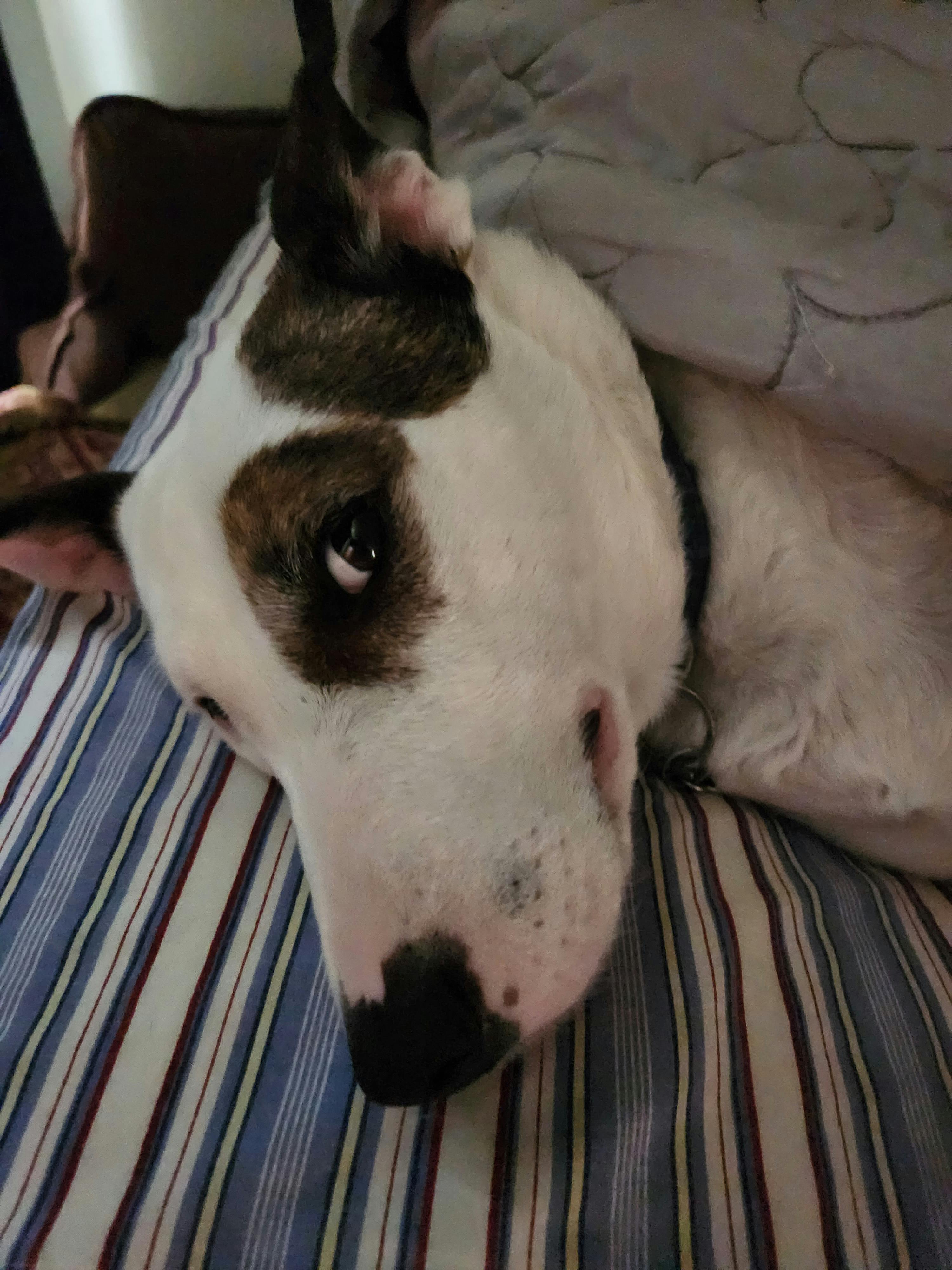 user avatar image for Joe R