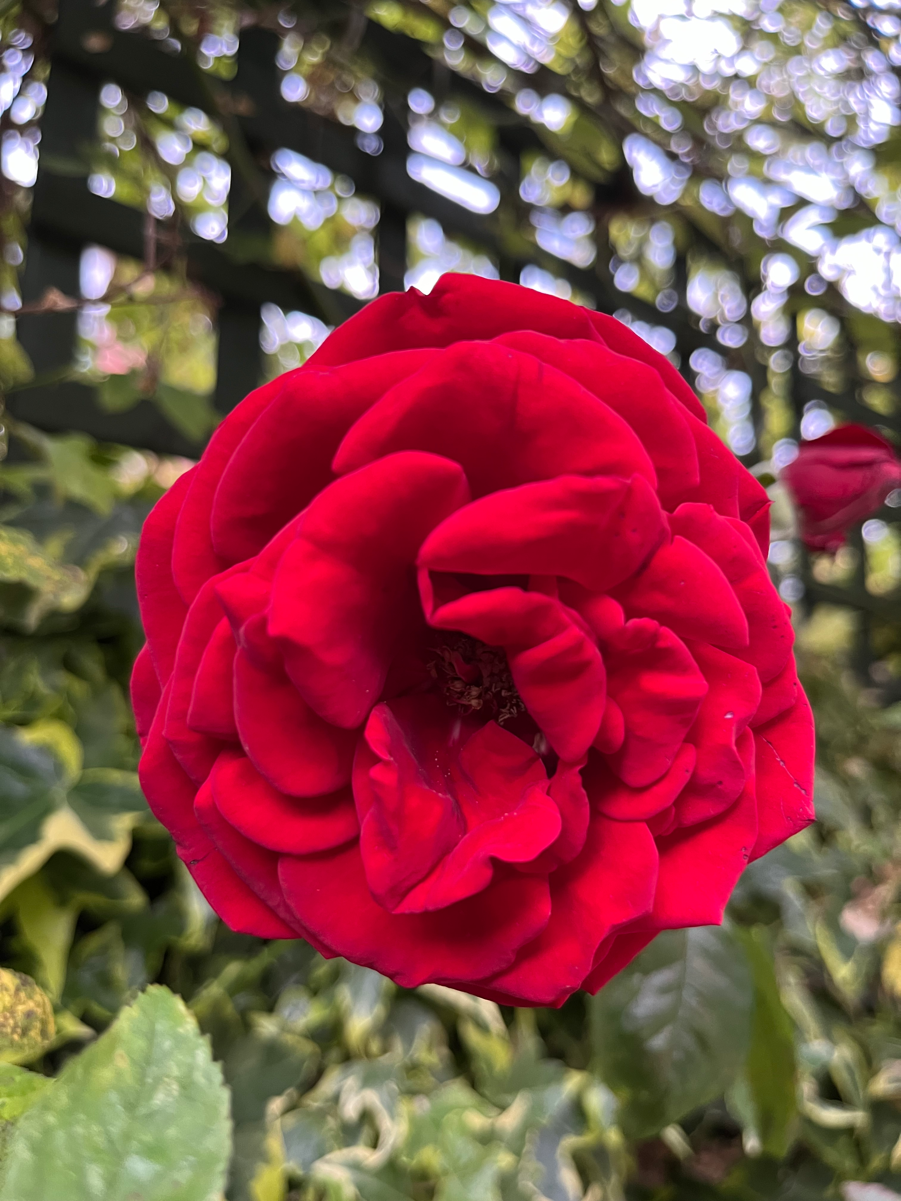 user avatar image for Nigel