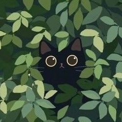 user avatar image for Hien