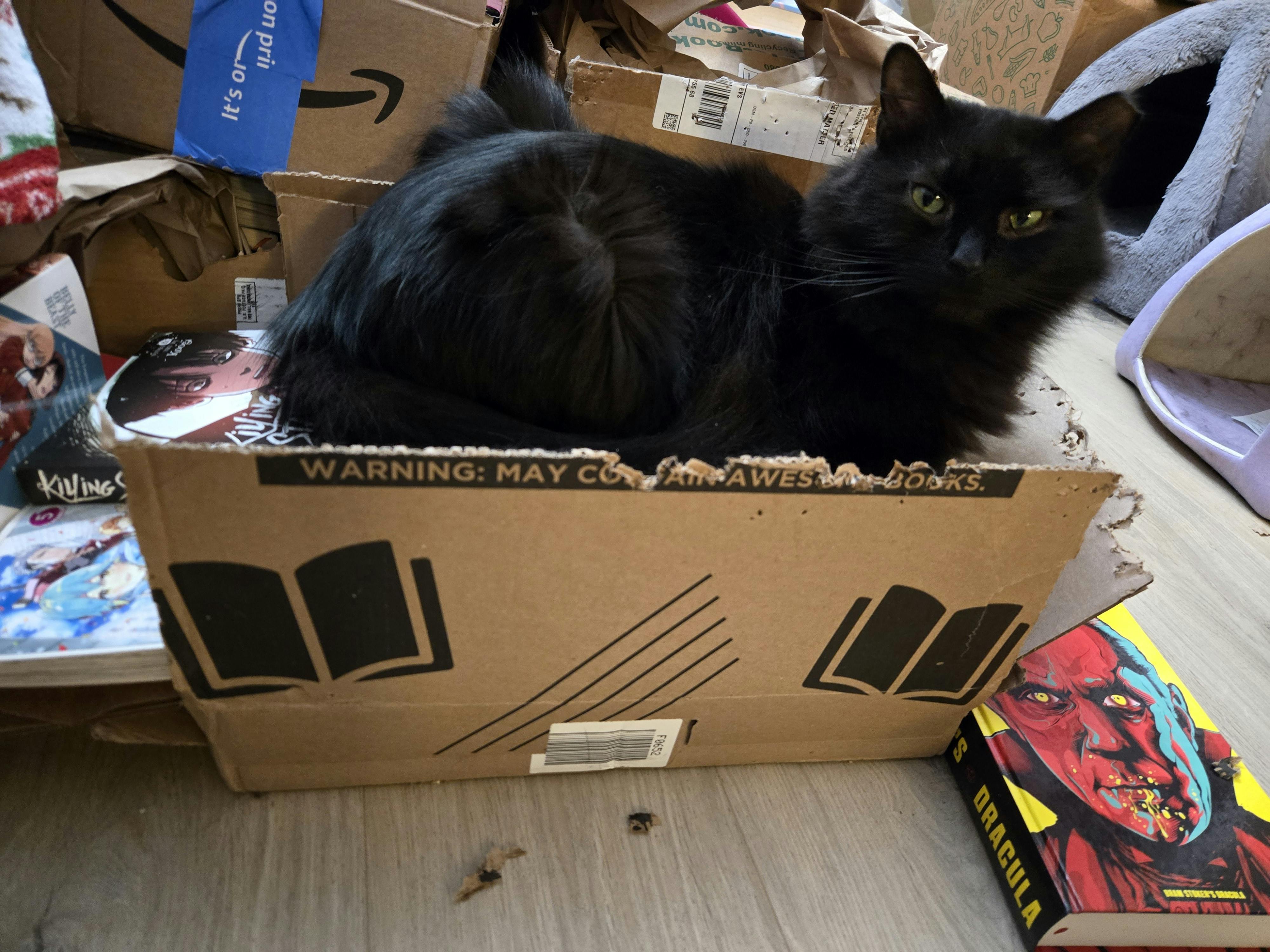 user avatar image for Lisa Watson