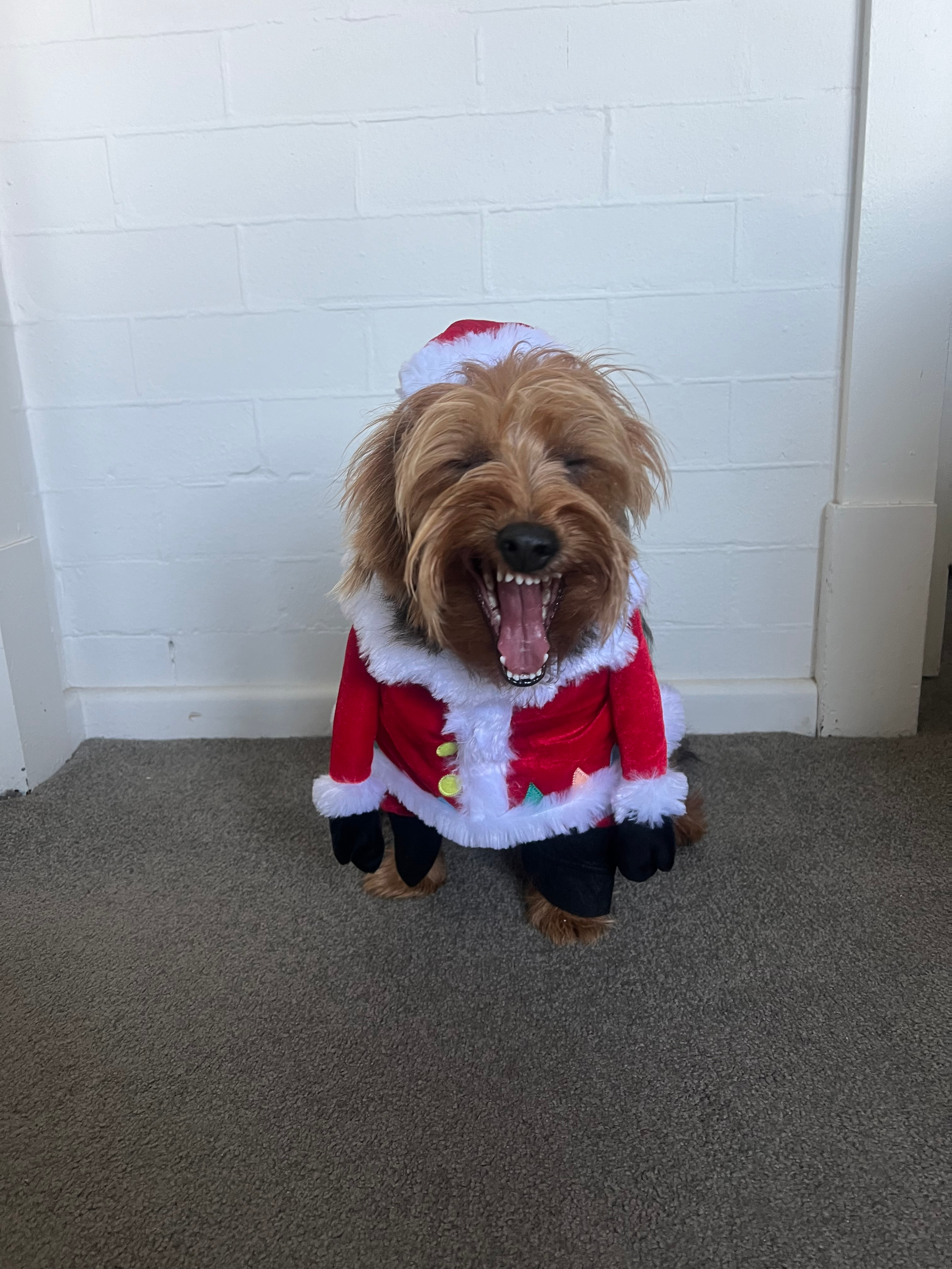 user avatar image for Peter Whipper