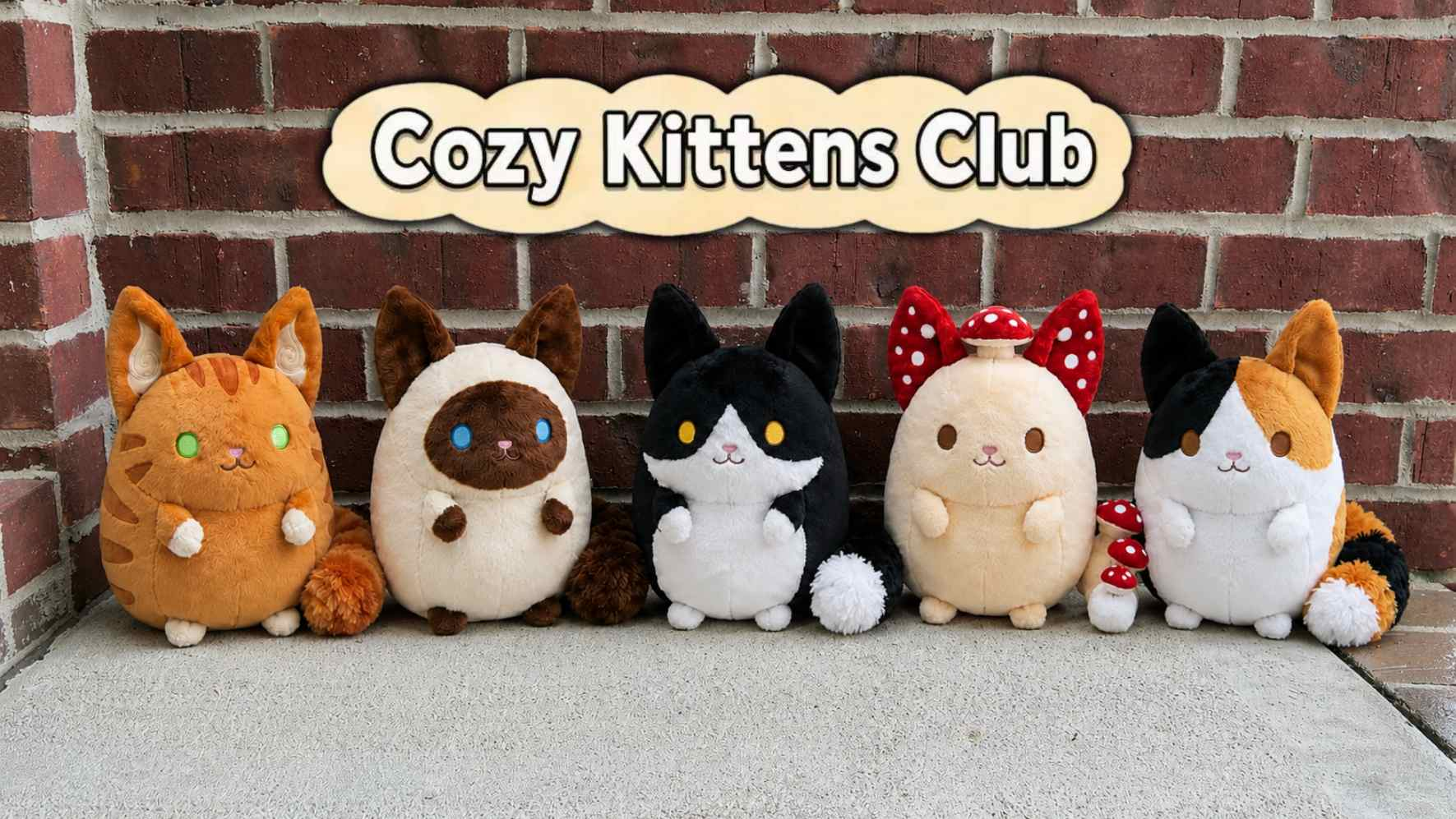 Cozy Kittens Club