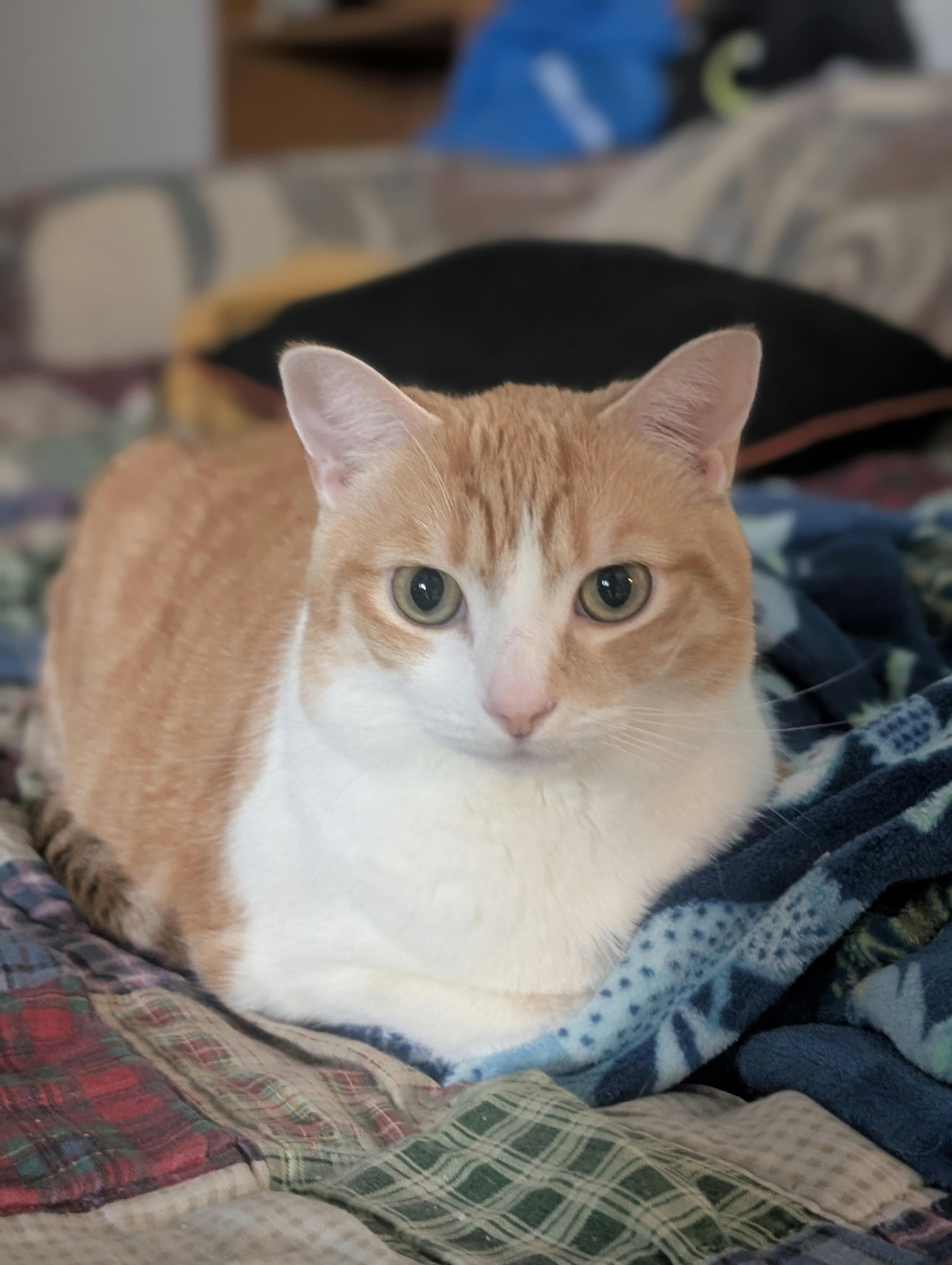 user avatar image for Lilly