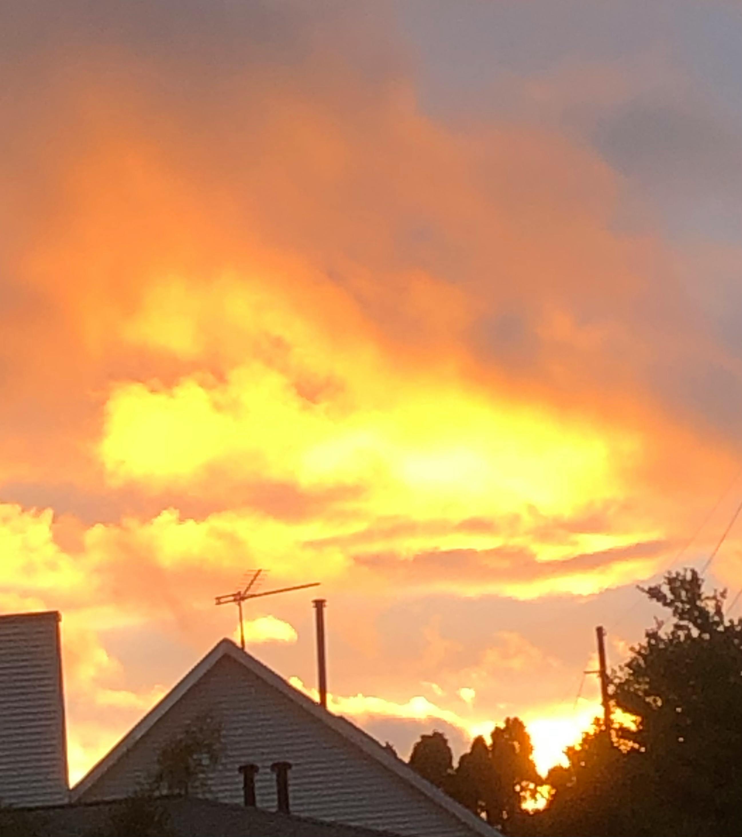 user avatar image for Dora Duvall