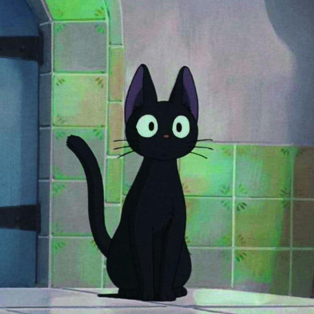 user avatar image for Erica C