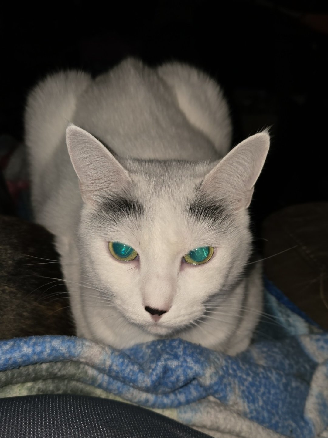 user avatar image for Ladyninjette