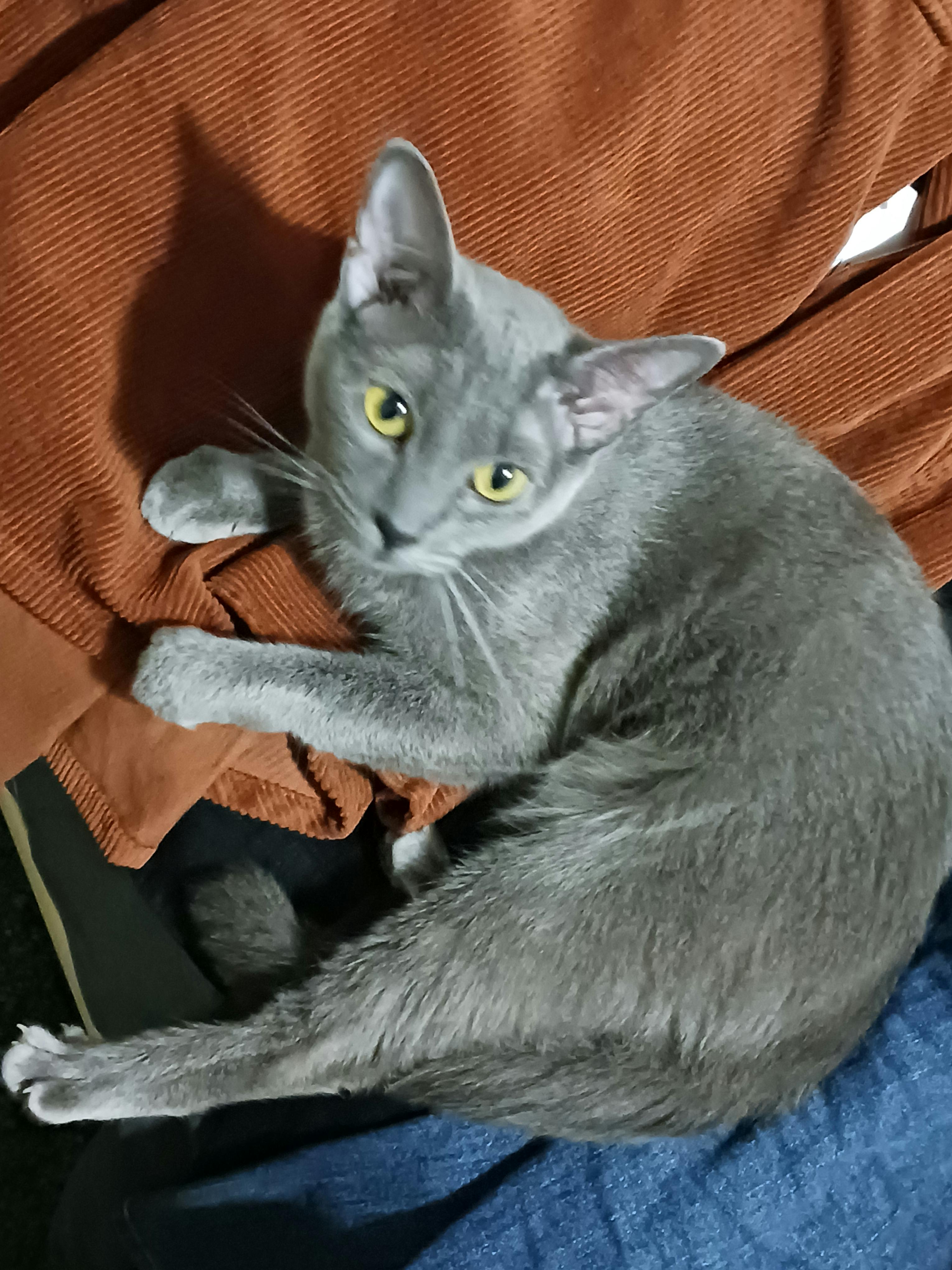 user avatar image for Ivy