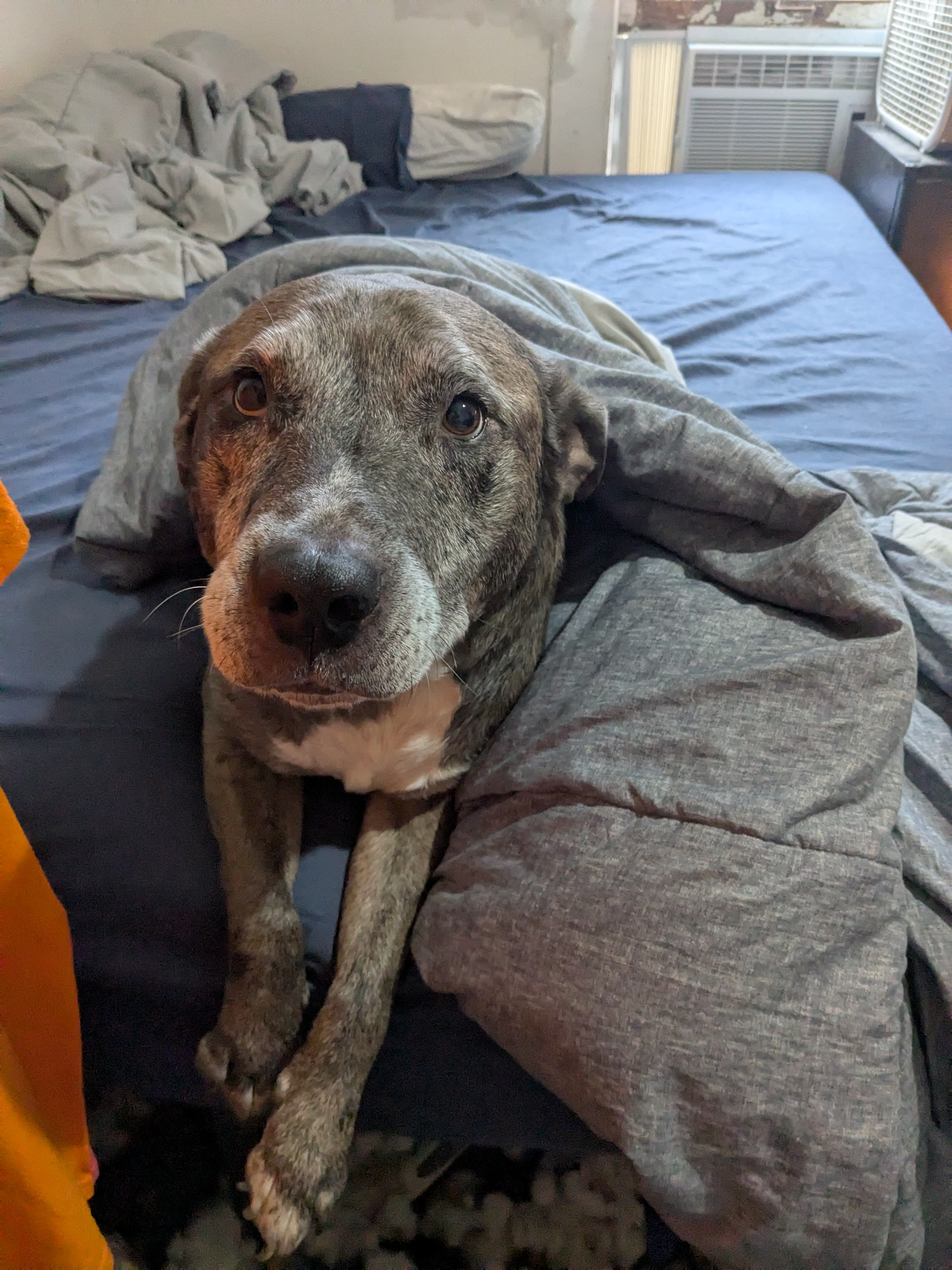 user avatar image for Dan