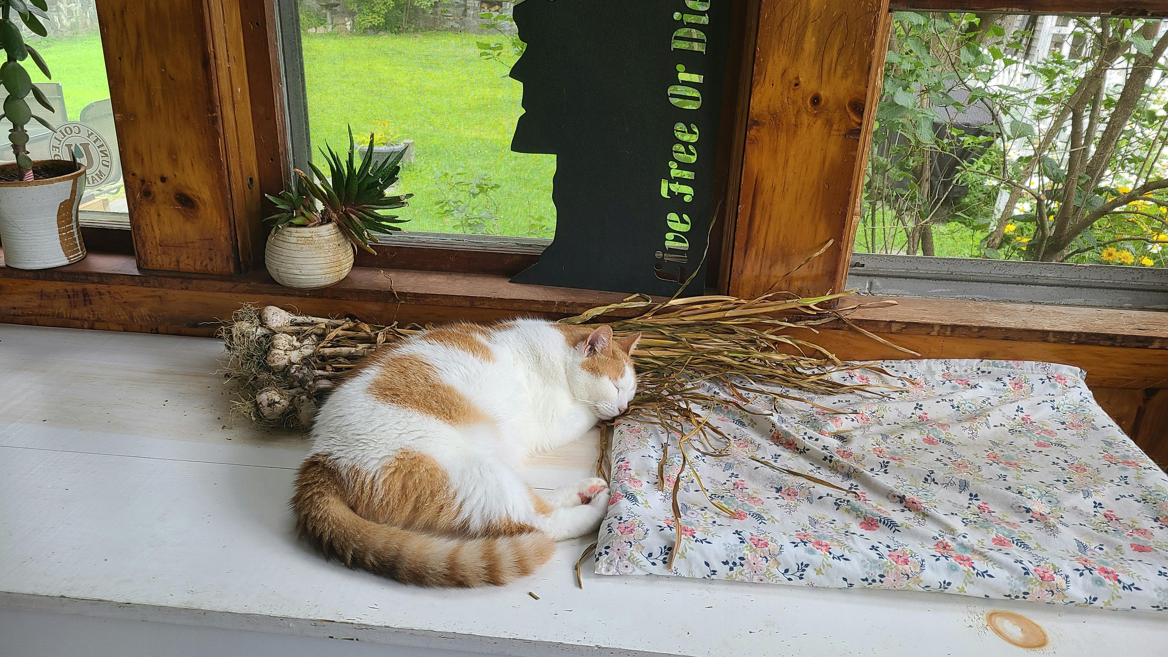 user avatar image for JHSIV