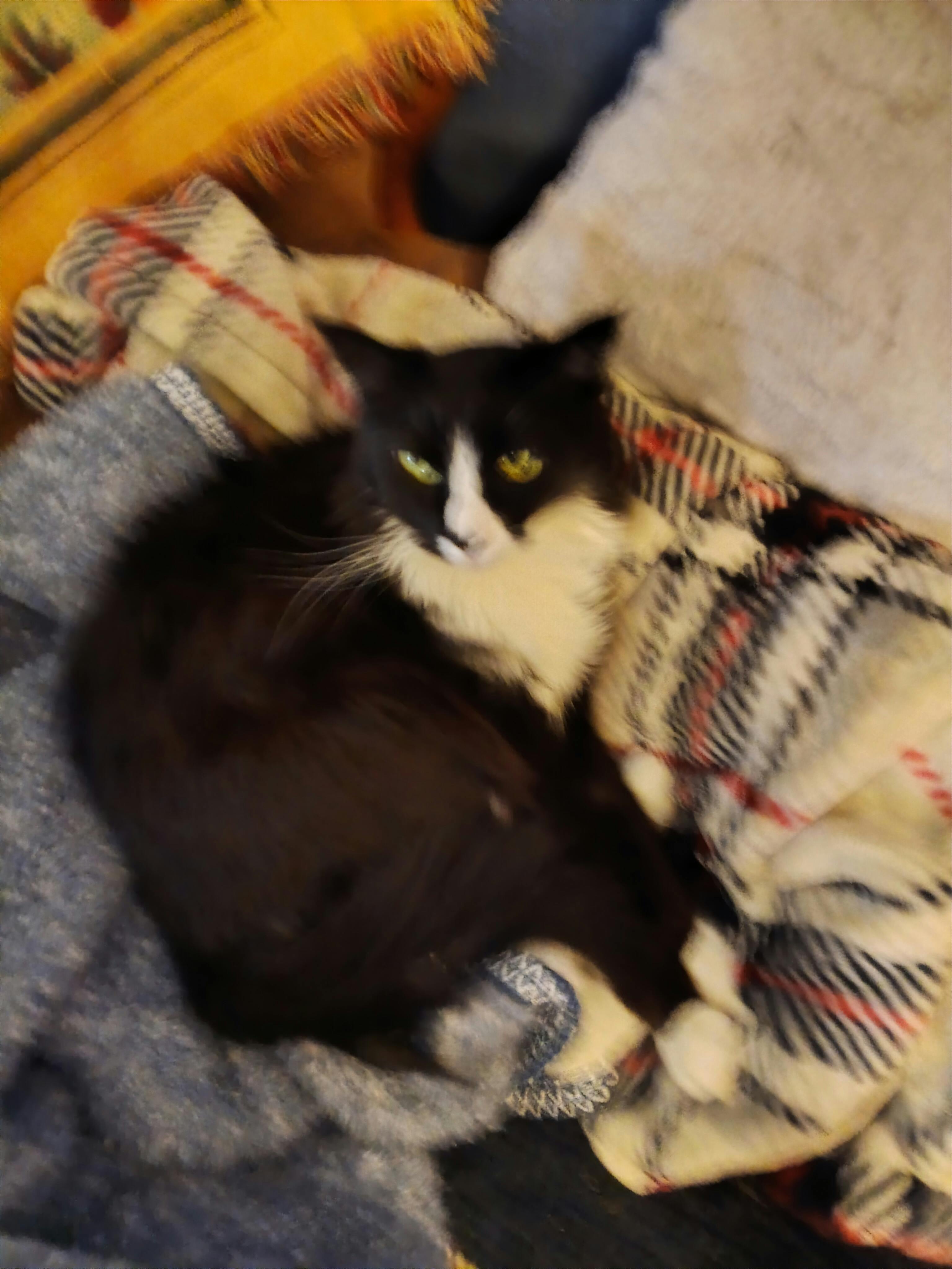 user avatar image for Joshua Crowe