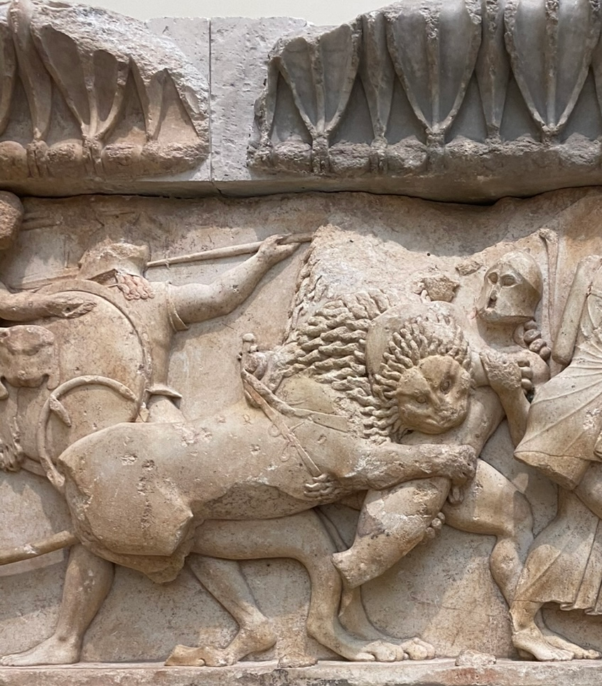 user avatar image for ali