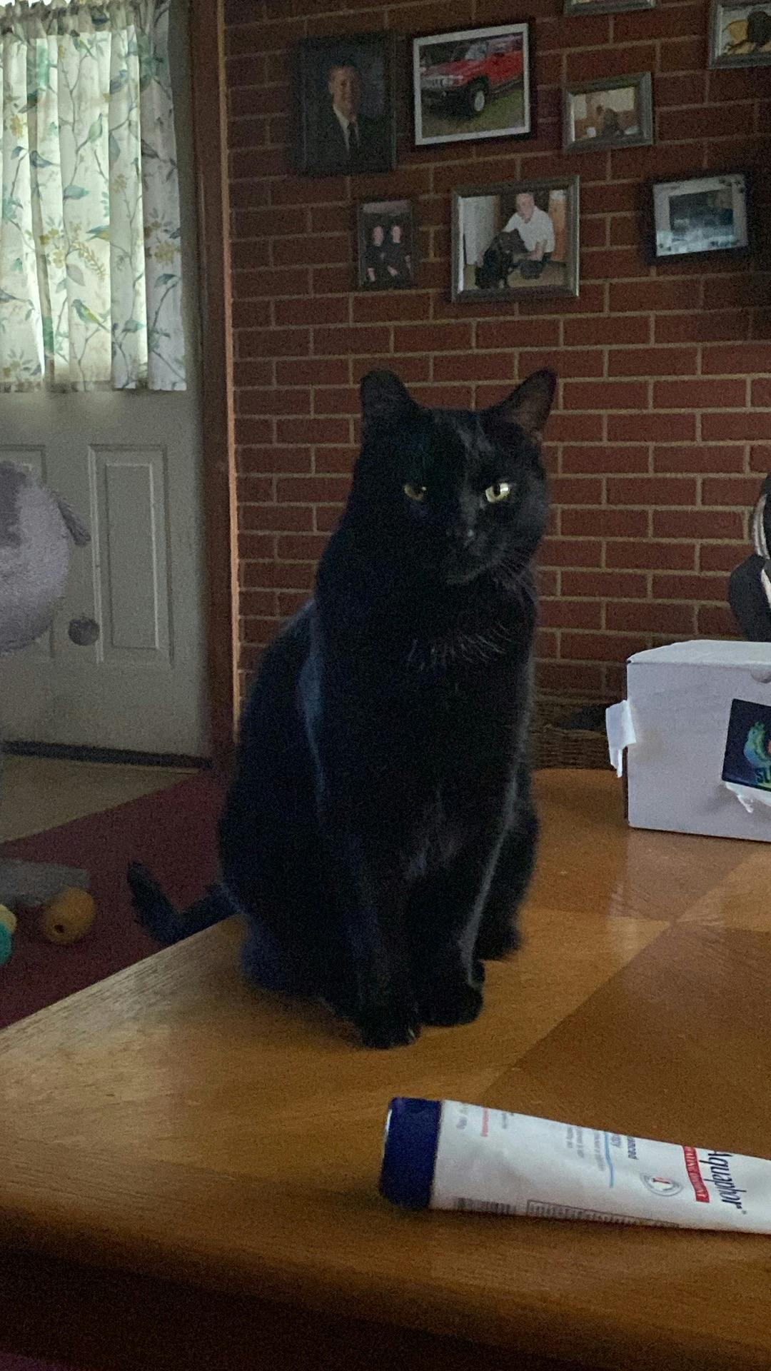 user avatar image for Shana