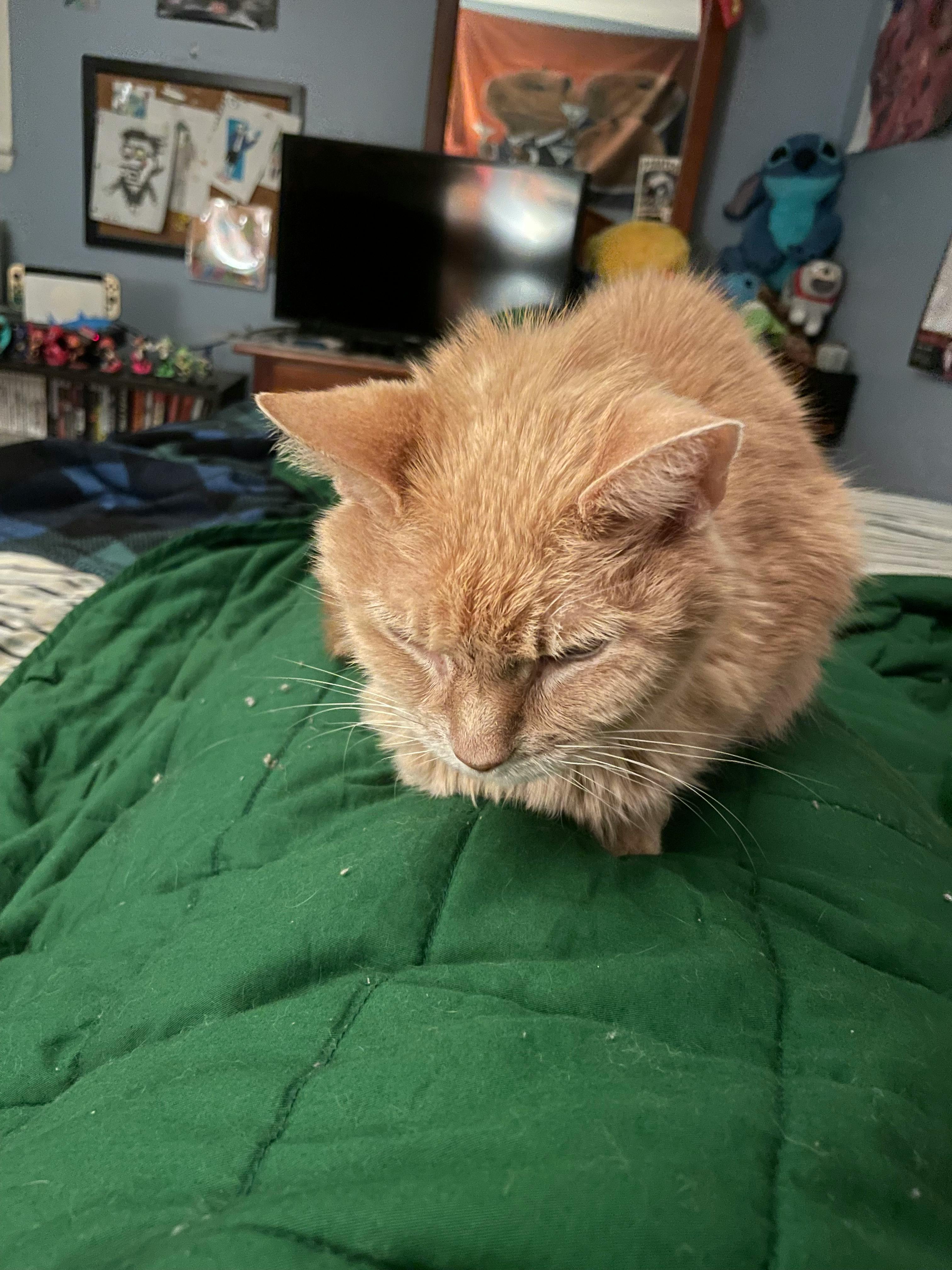 user avatar image for Gabe Ward