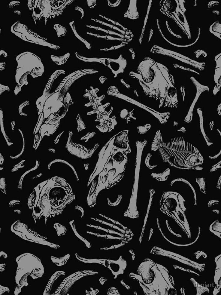 user avatar image for Rune