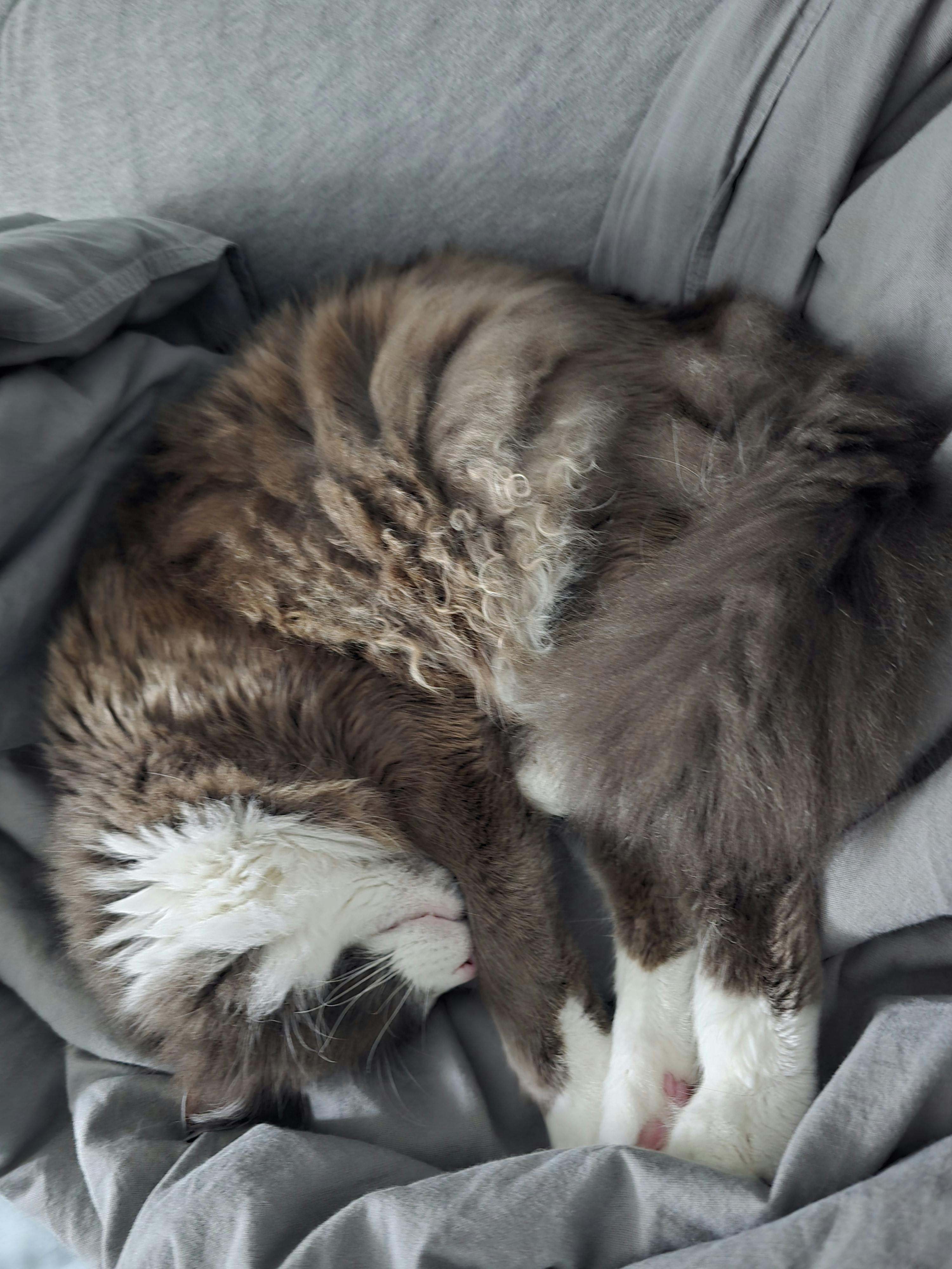 user avatar image for Jeffrey Woito