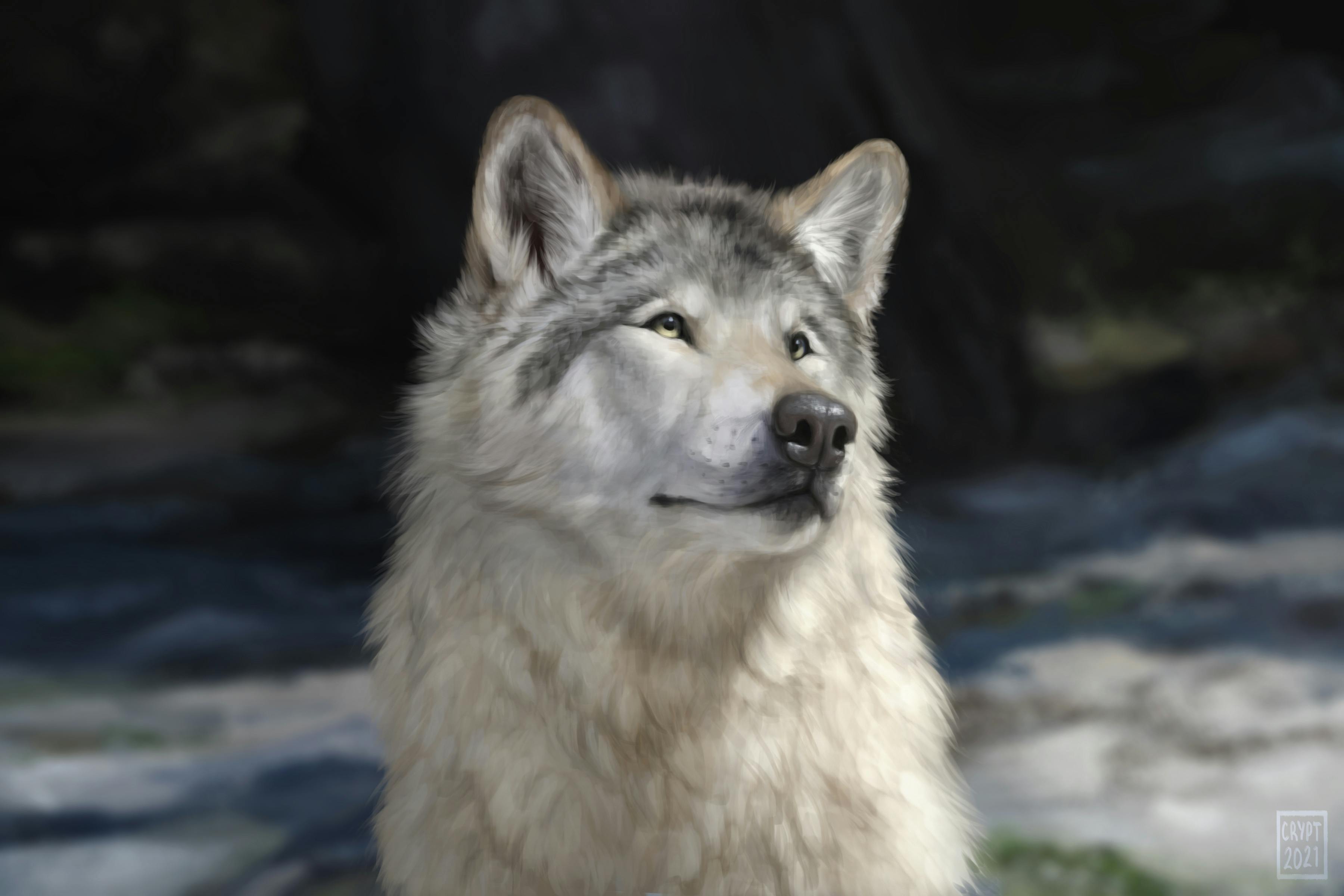 user avatar image for Cryptillian