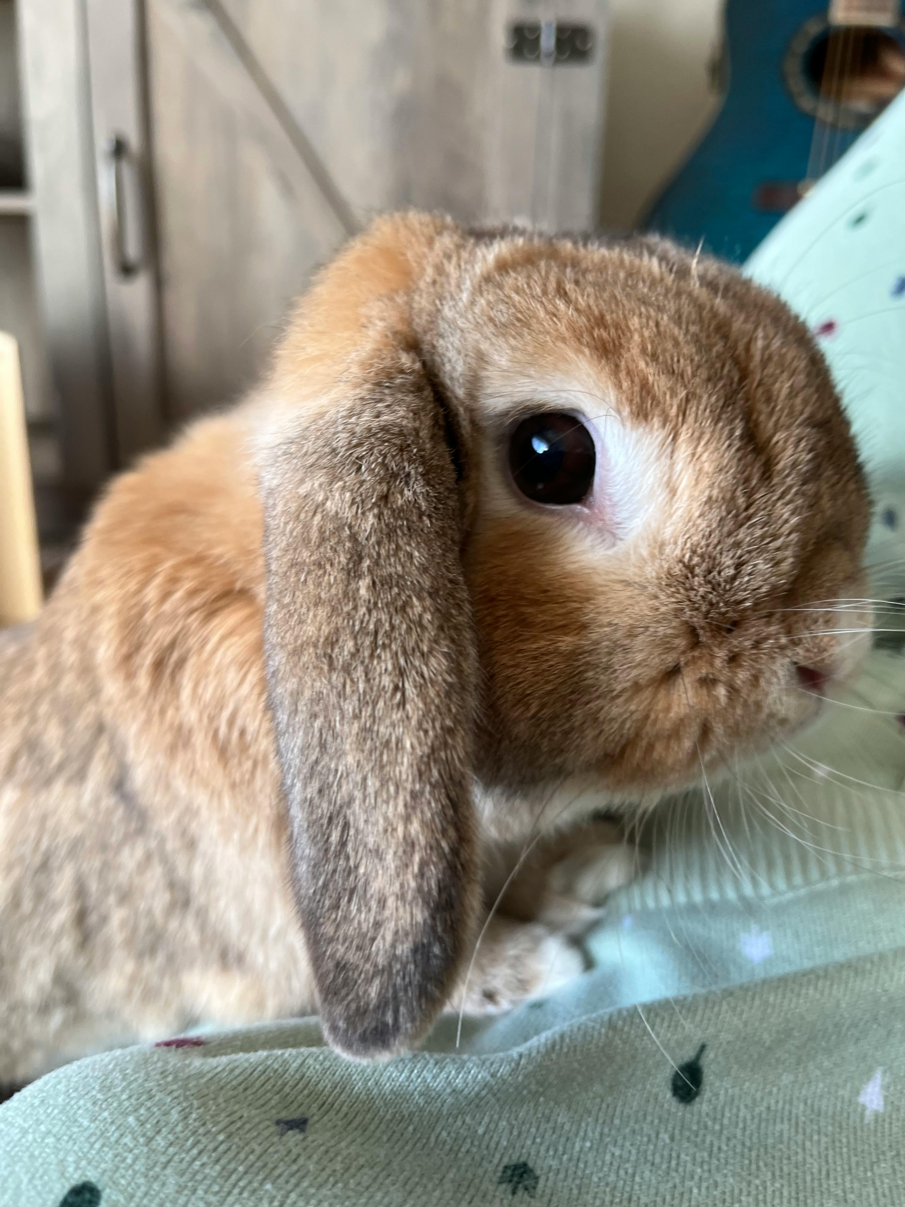 user avatar image for Vintage