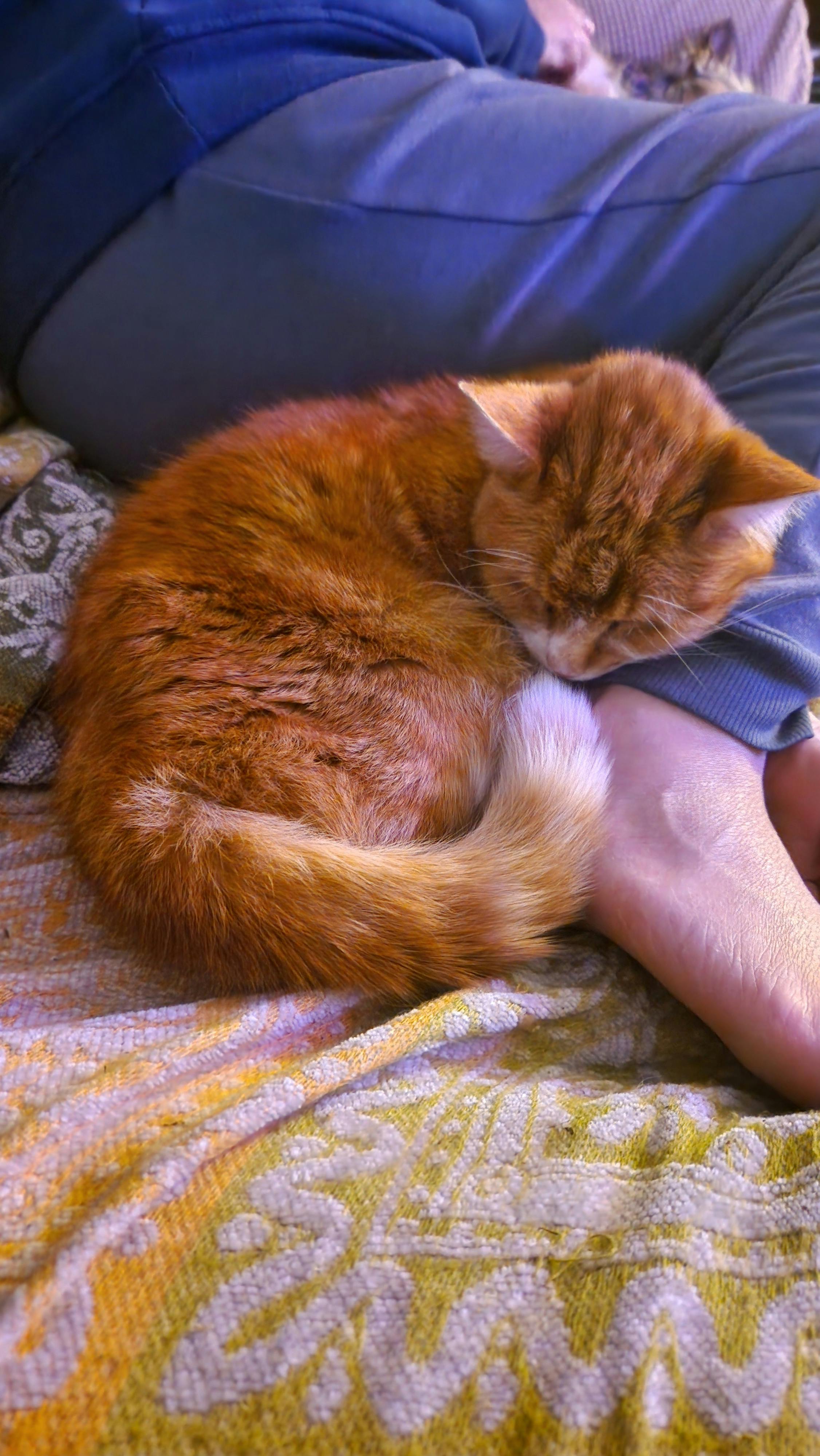 user avatar image for Skully 