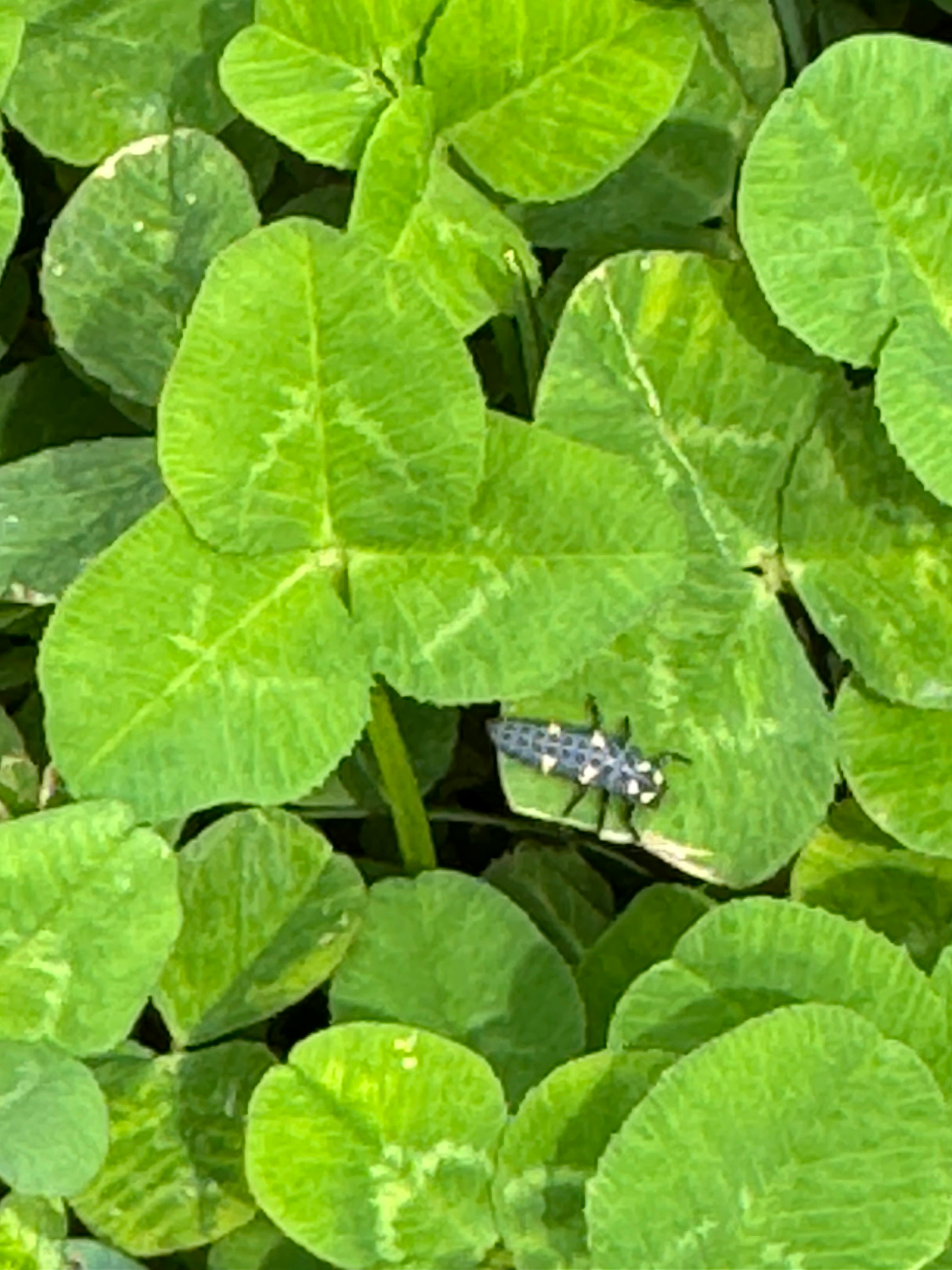 user avatar image for KSmith